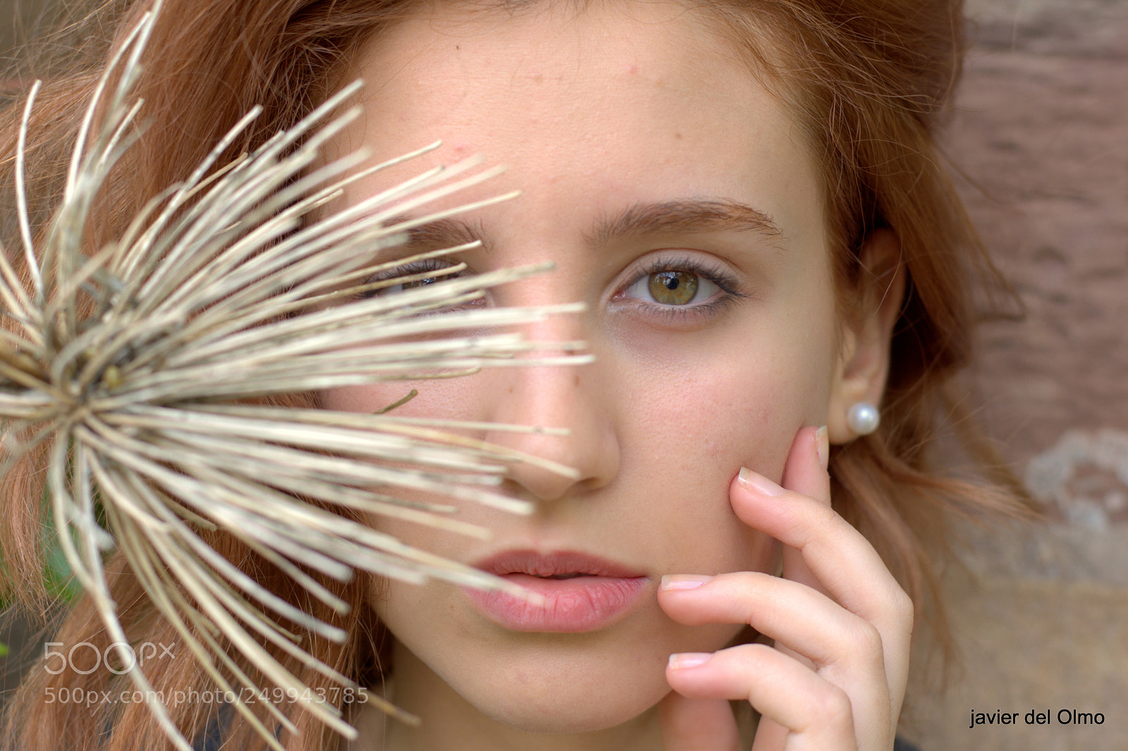 Nikon D7100 sample photo. Flor photography