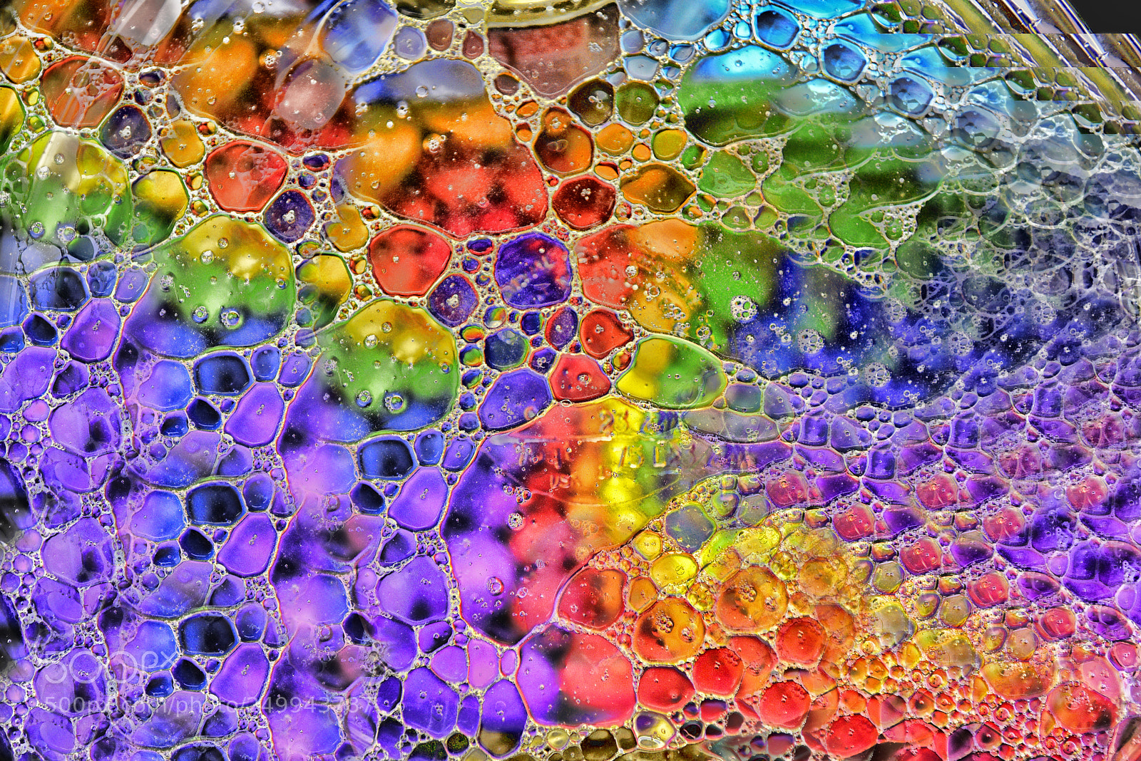 Nikon D810 sample photo. Color craziness photography