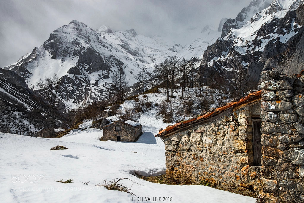 Nikon D800 sample photo. Nieve en sotres photography