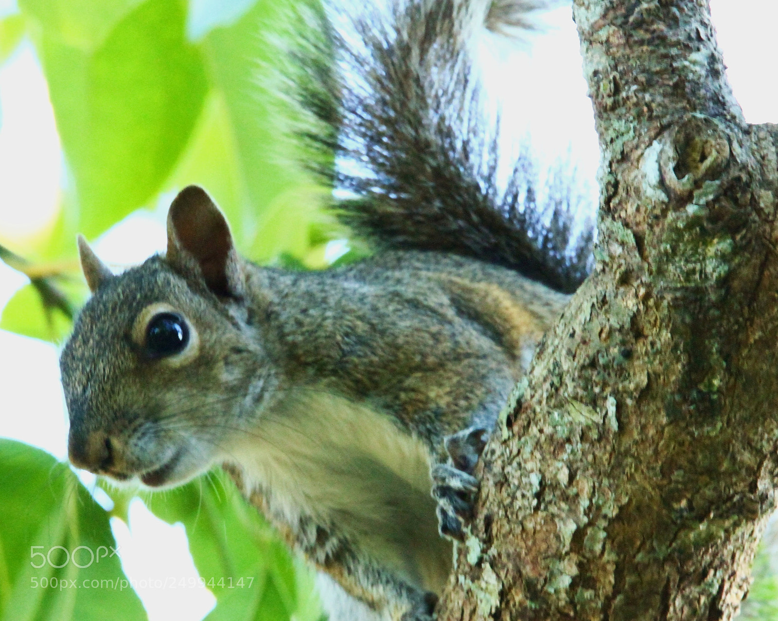 Canon EOS 7D sample photo. Img photography