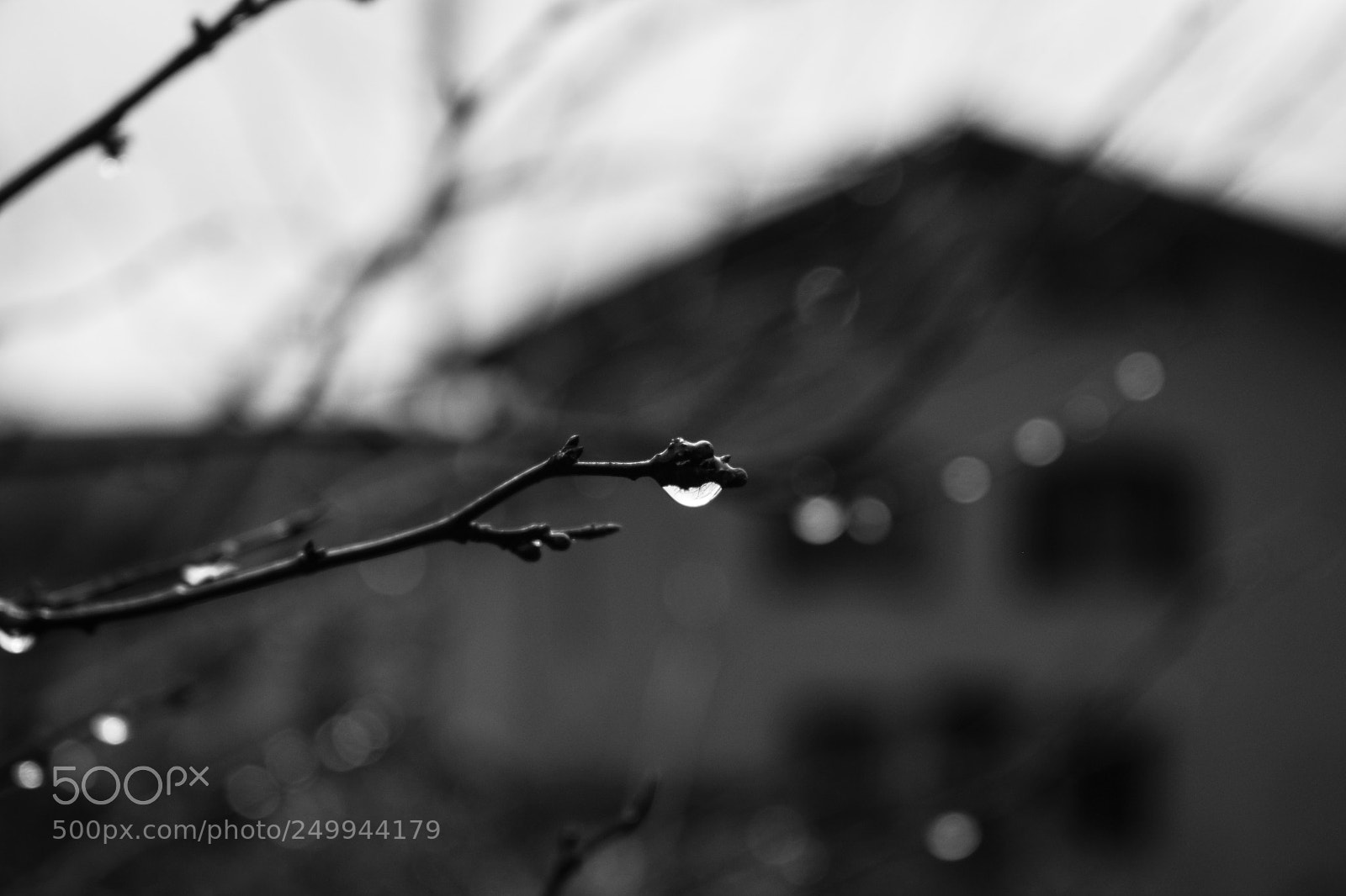 Nikon D5300 sample photo. A raining day photography