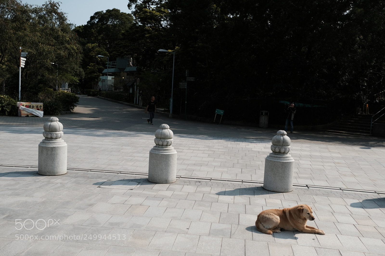 Fujifilm X-Pro2 sample photo. Hong kong  photography