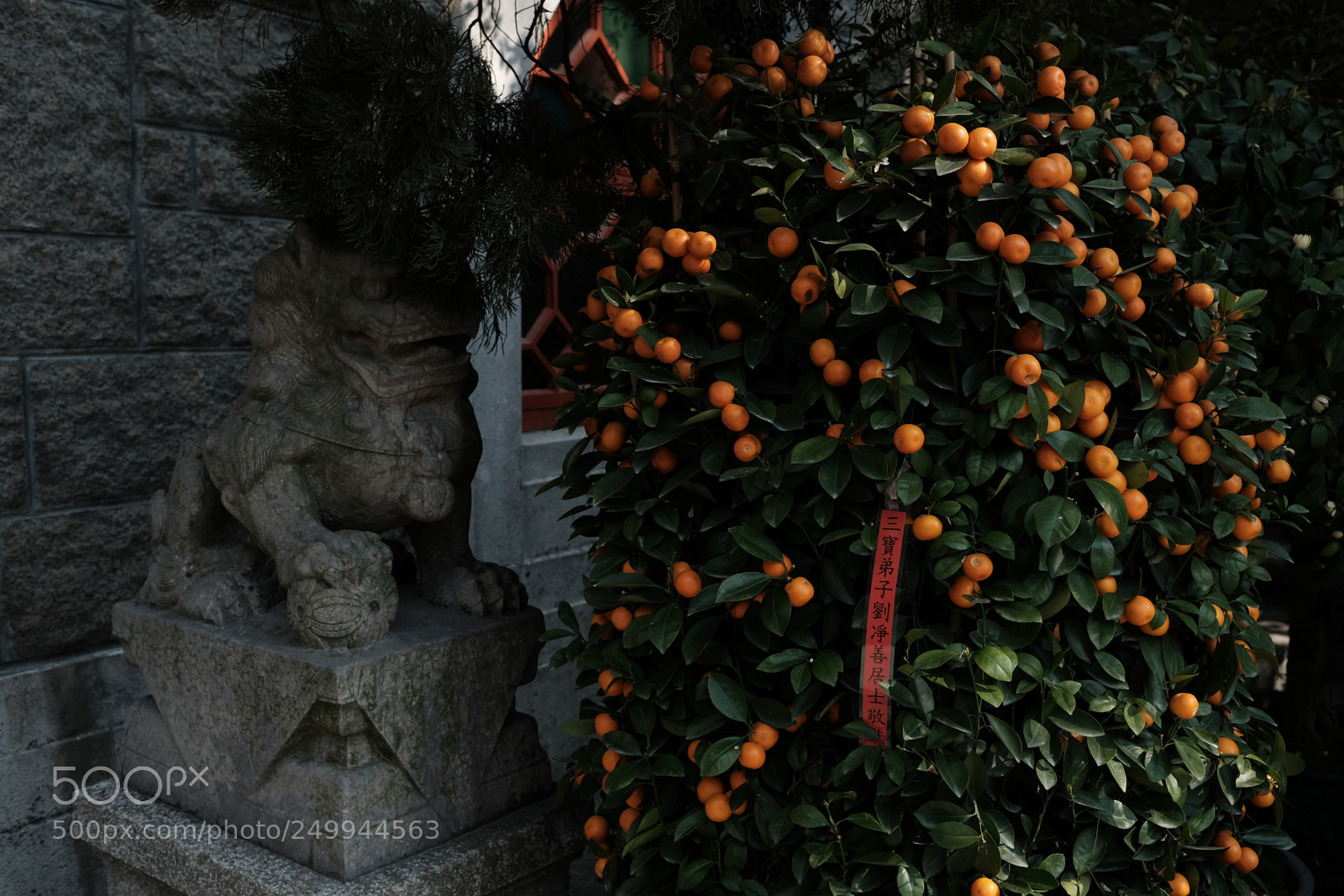 Fujifilm X-Pro2 sample photo. Hong kong  photography