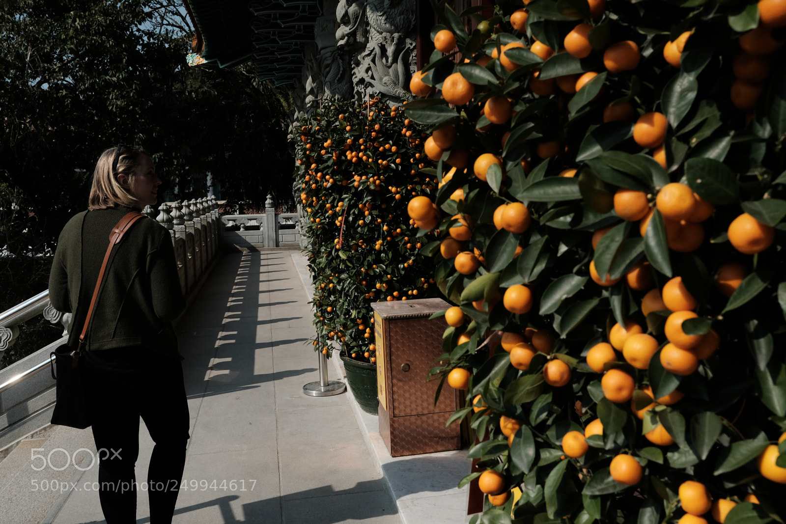 Fujifilm X-Pro2 sample photo. Hong kong  photography