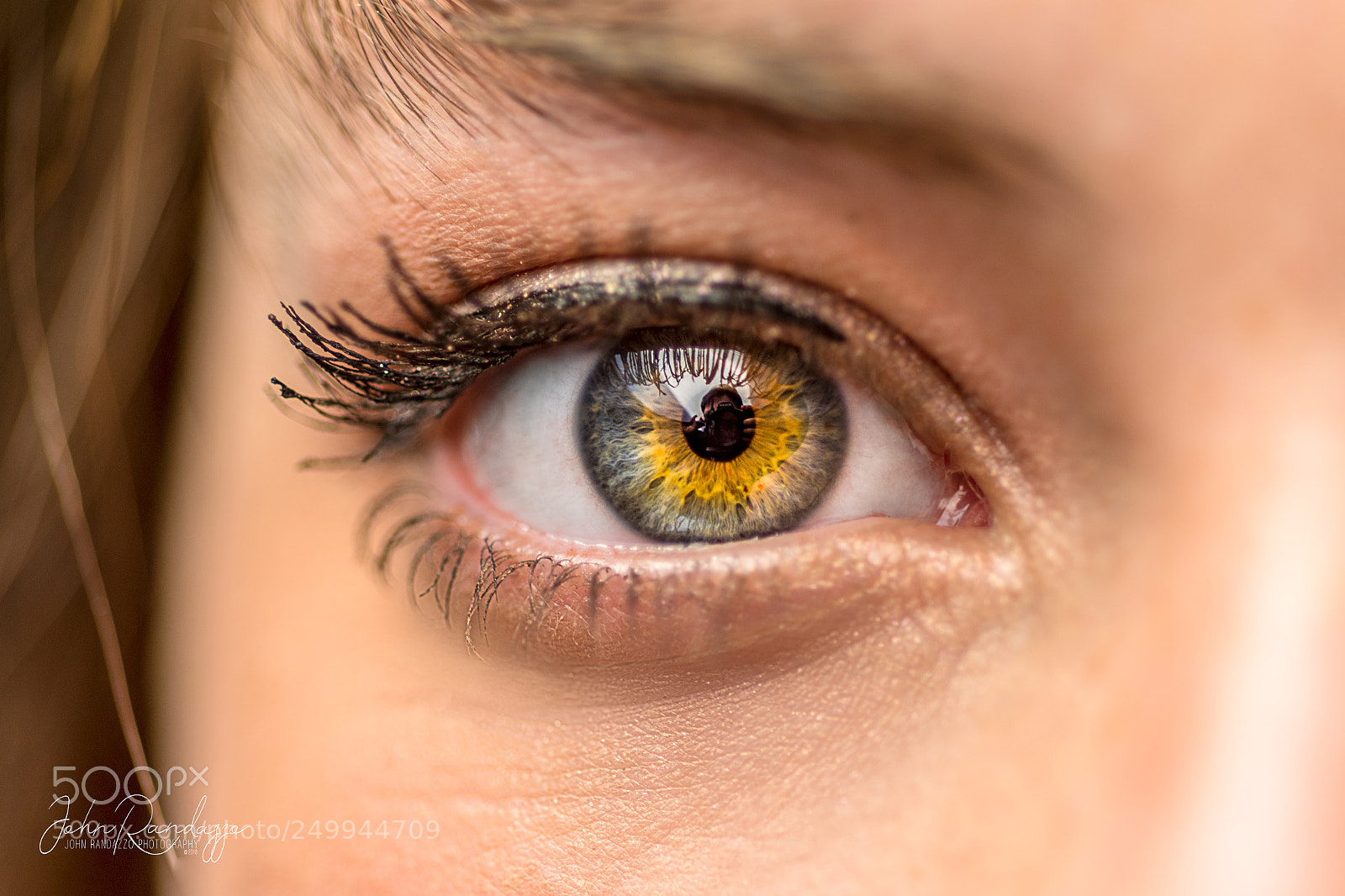 Nikon D810 sample photo. Eye detail photography