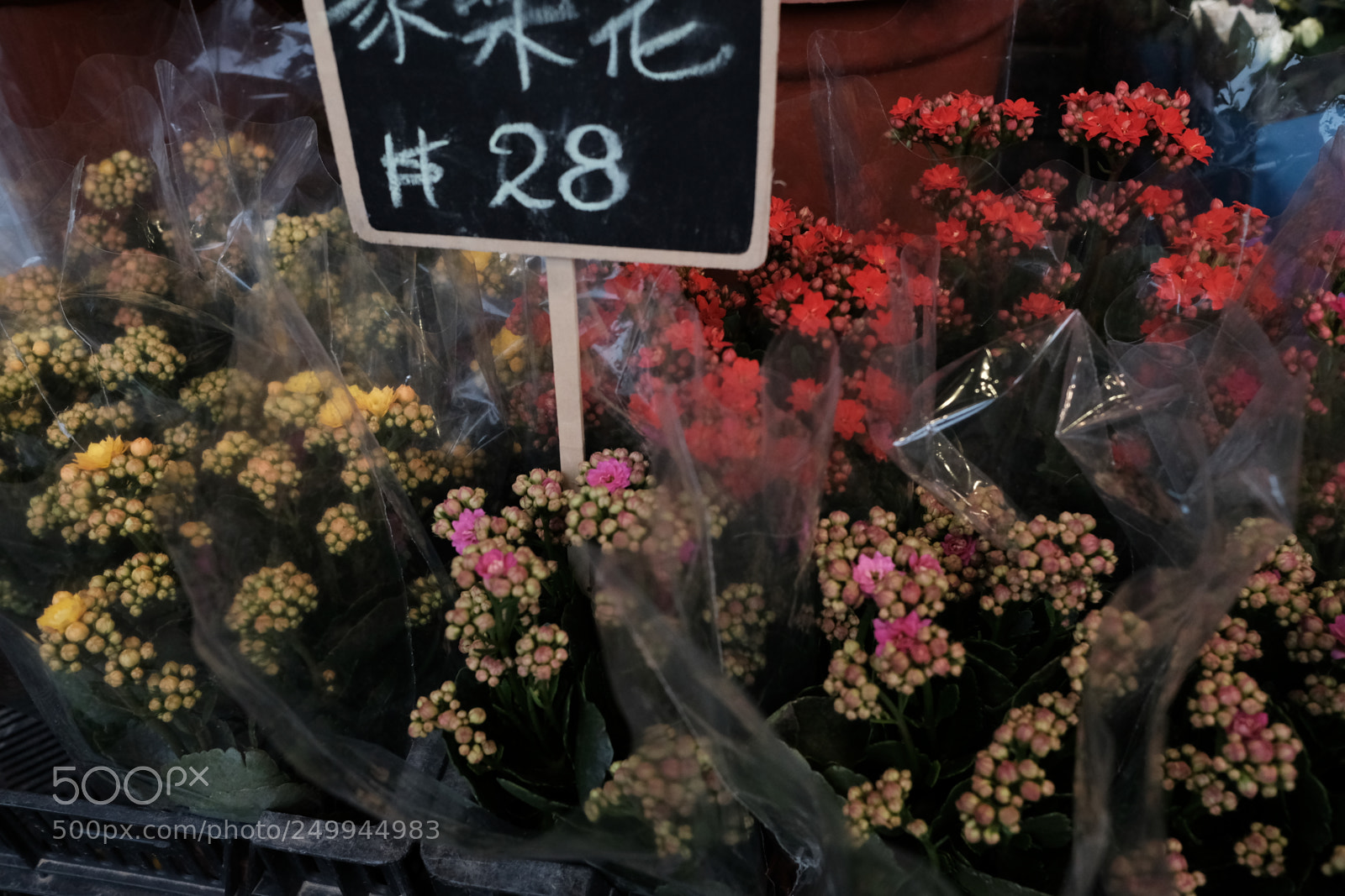 Fujifilm X-Pro2 sample photo. Hong kong  photography