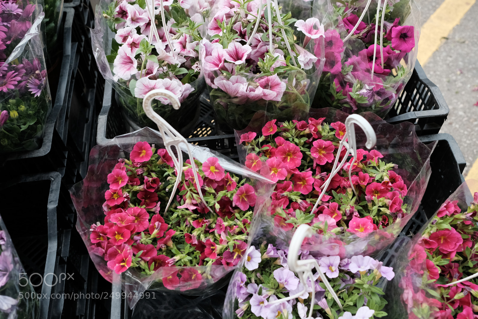 Fujifilm X-Pro2 sample photo. Hong kong  photography