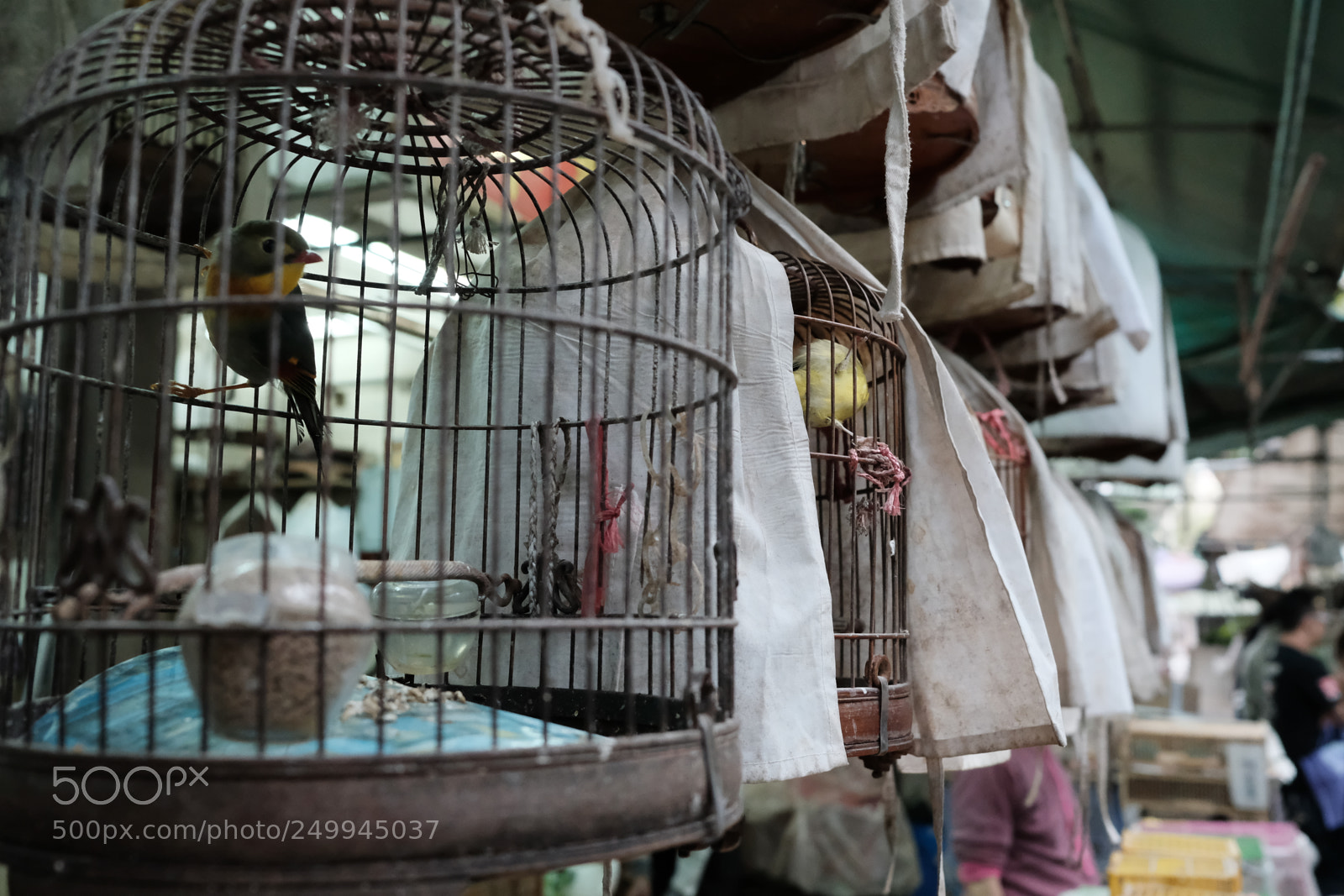 Fujifilm X-Pro2 sample photo. Hong kong  photography