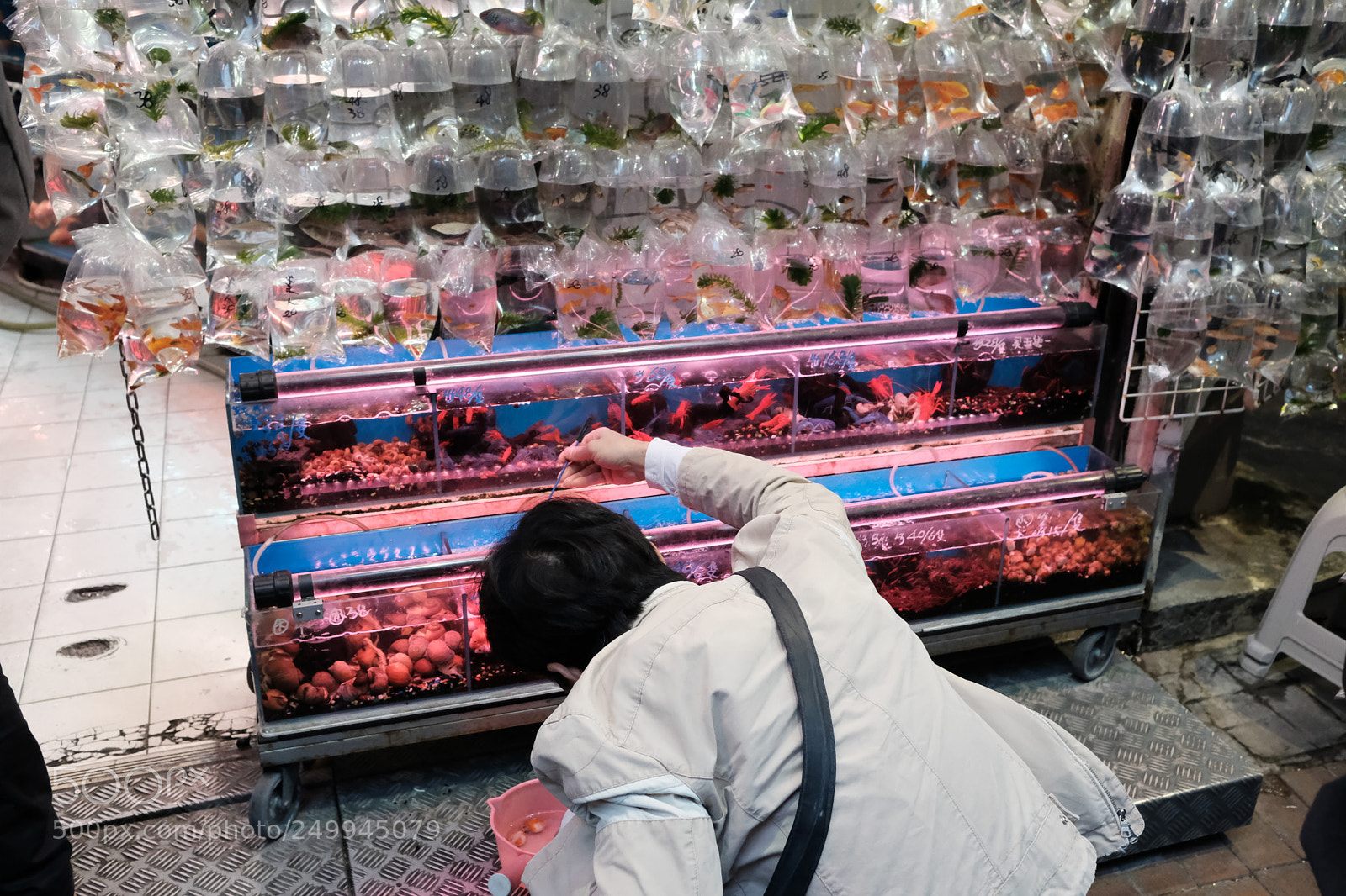 Fujifilm X-Pro2 sample photo. Hong kong  photography