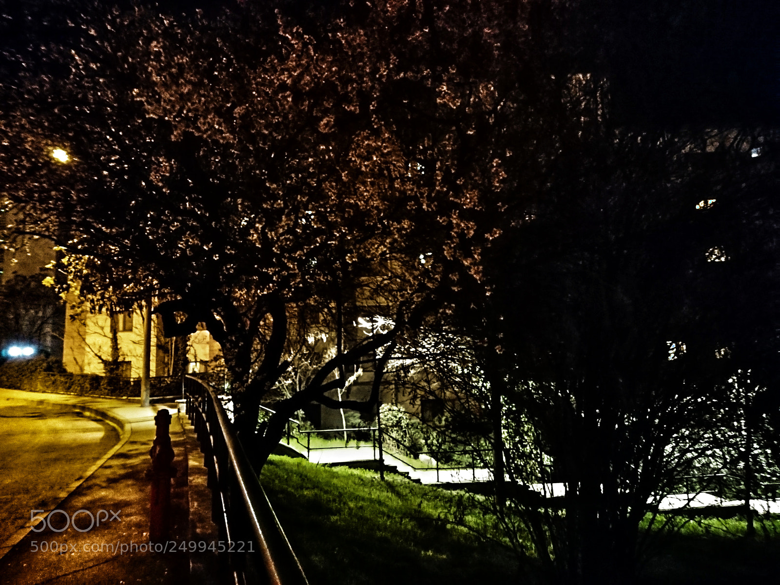 Sony Xperia XZ sample photo. Bilkent photography
