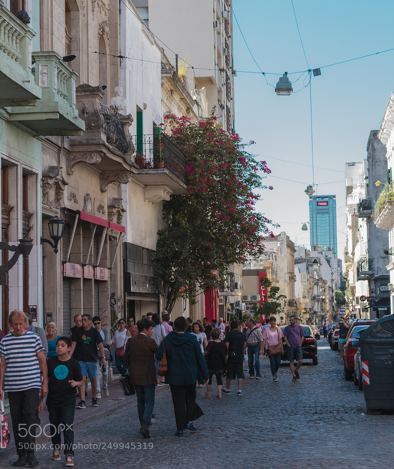 Nikon D3400 sample photo. Las hipn ticas y photography