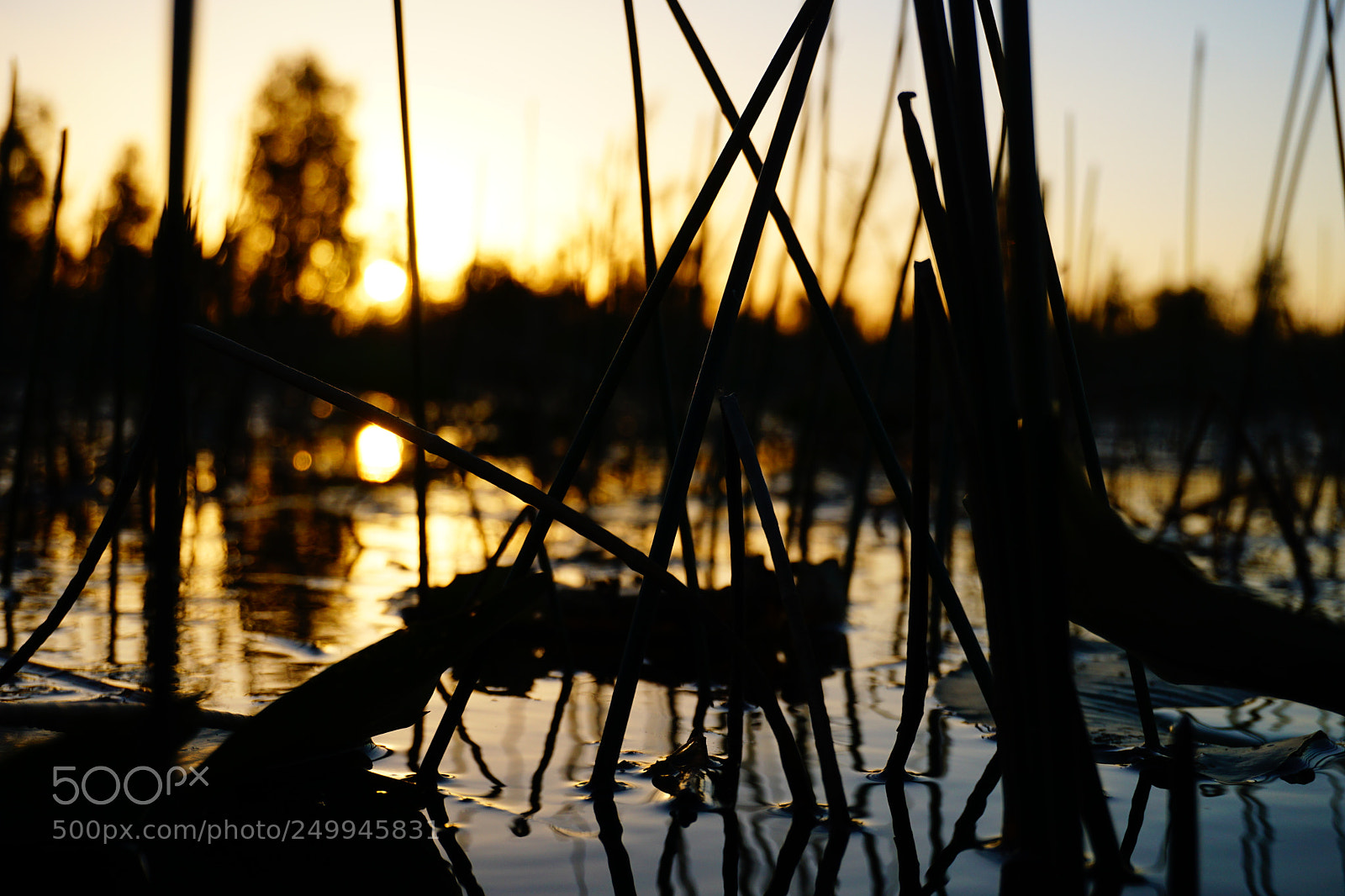 Sony a6000 sample photo. Everglades sunset photography