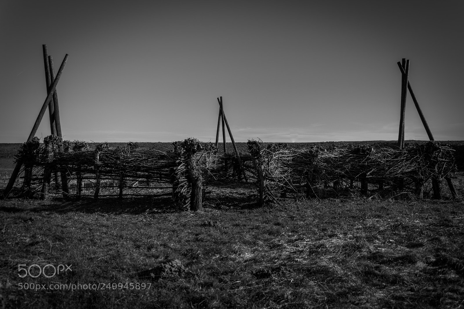 Nikon D5300 sample photo. Fence photography