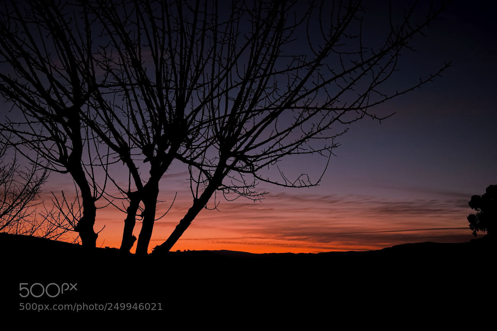 Nikon D5300 sample photo. La hora azul photography