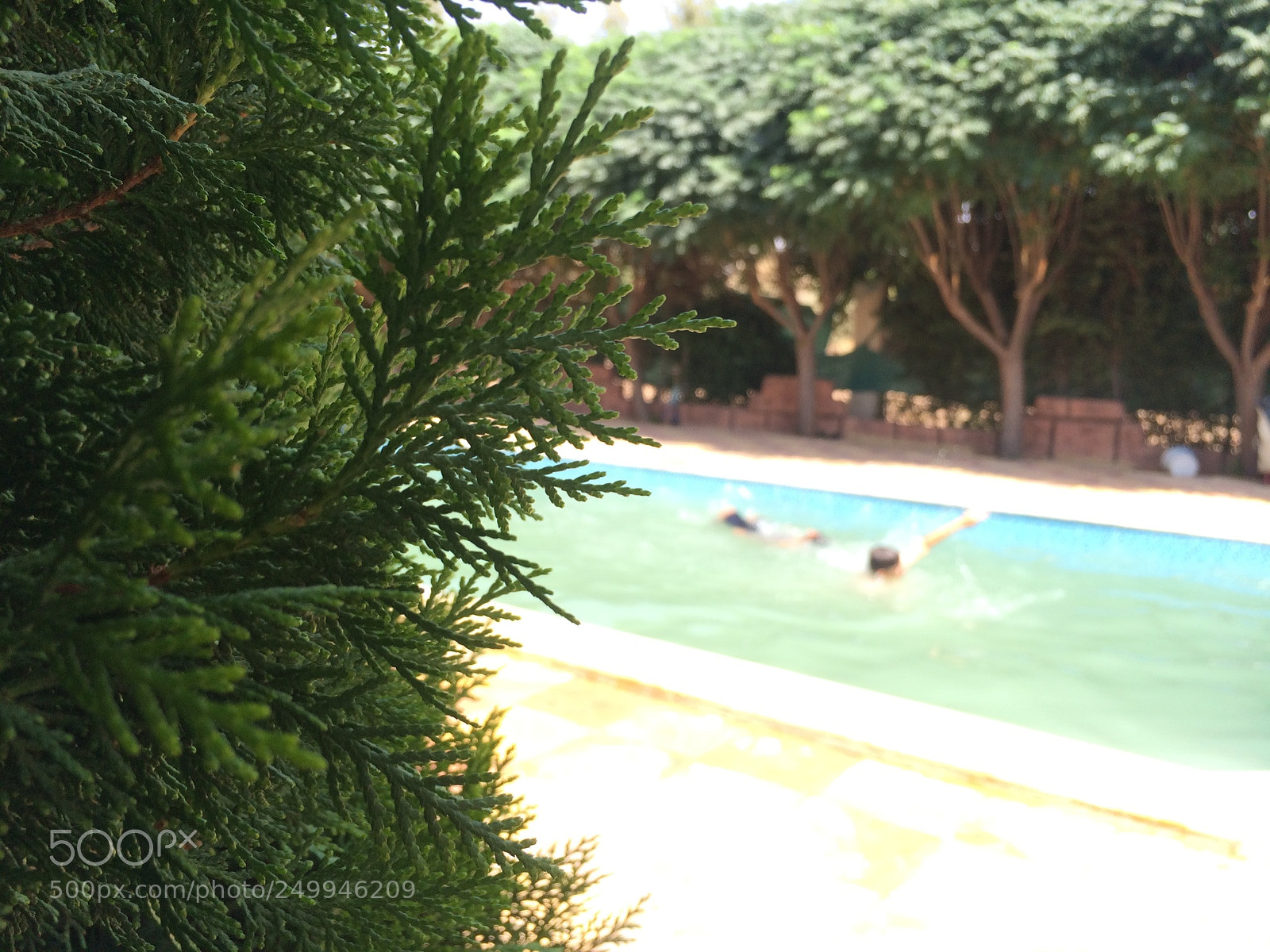 Apple iPhone 5s sample photo. Untitled photography