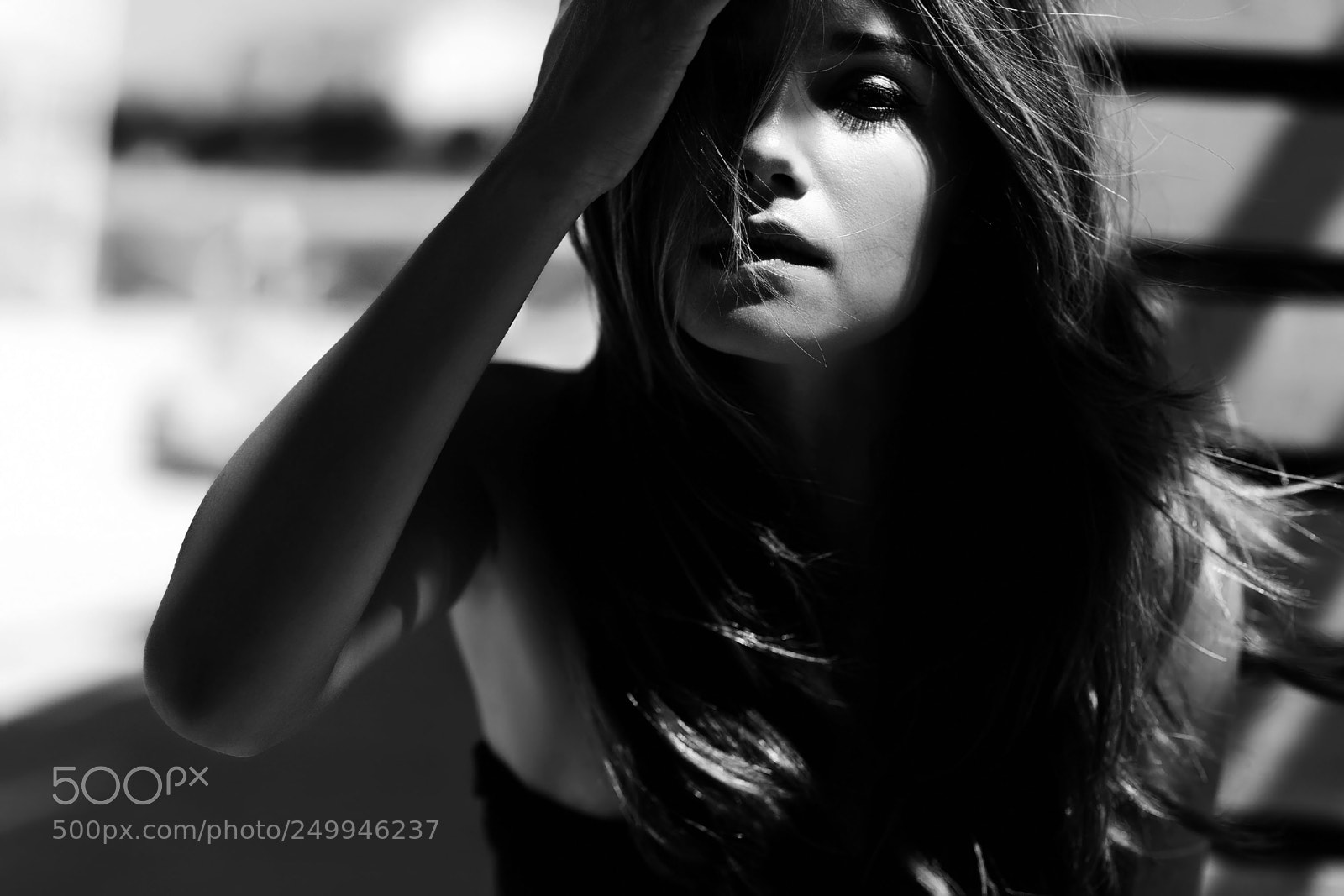 Canon EOS-1D X sample photo. Hidden in the shadows photography