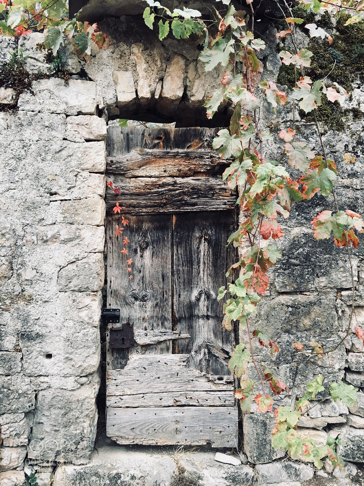 Apple iPhone 6s sample photo. Old door  photography