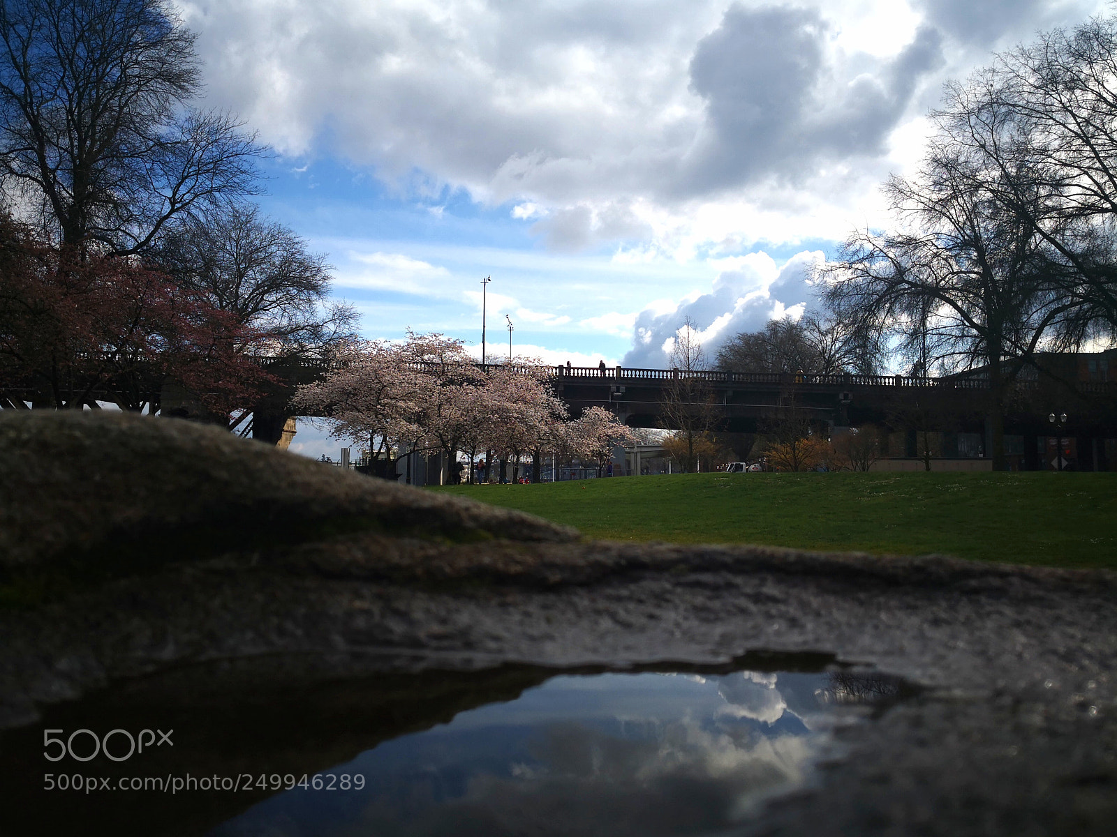 HUAWEI Mate 10 sample photo. Sakura photography