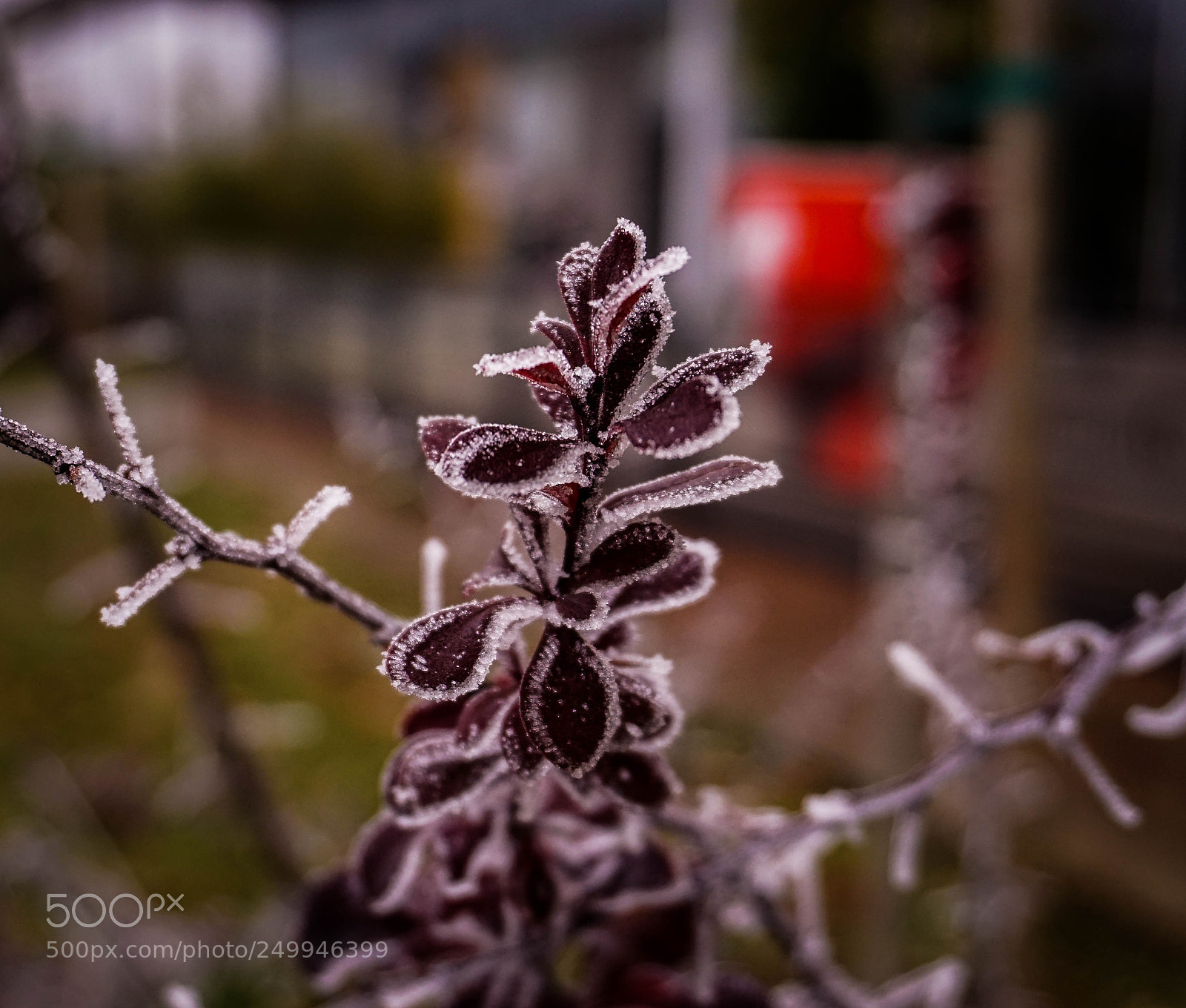 Sony a6000 sample photo. Untitled photography
