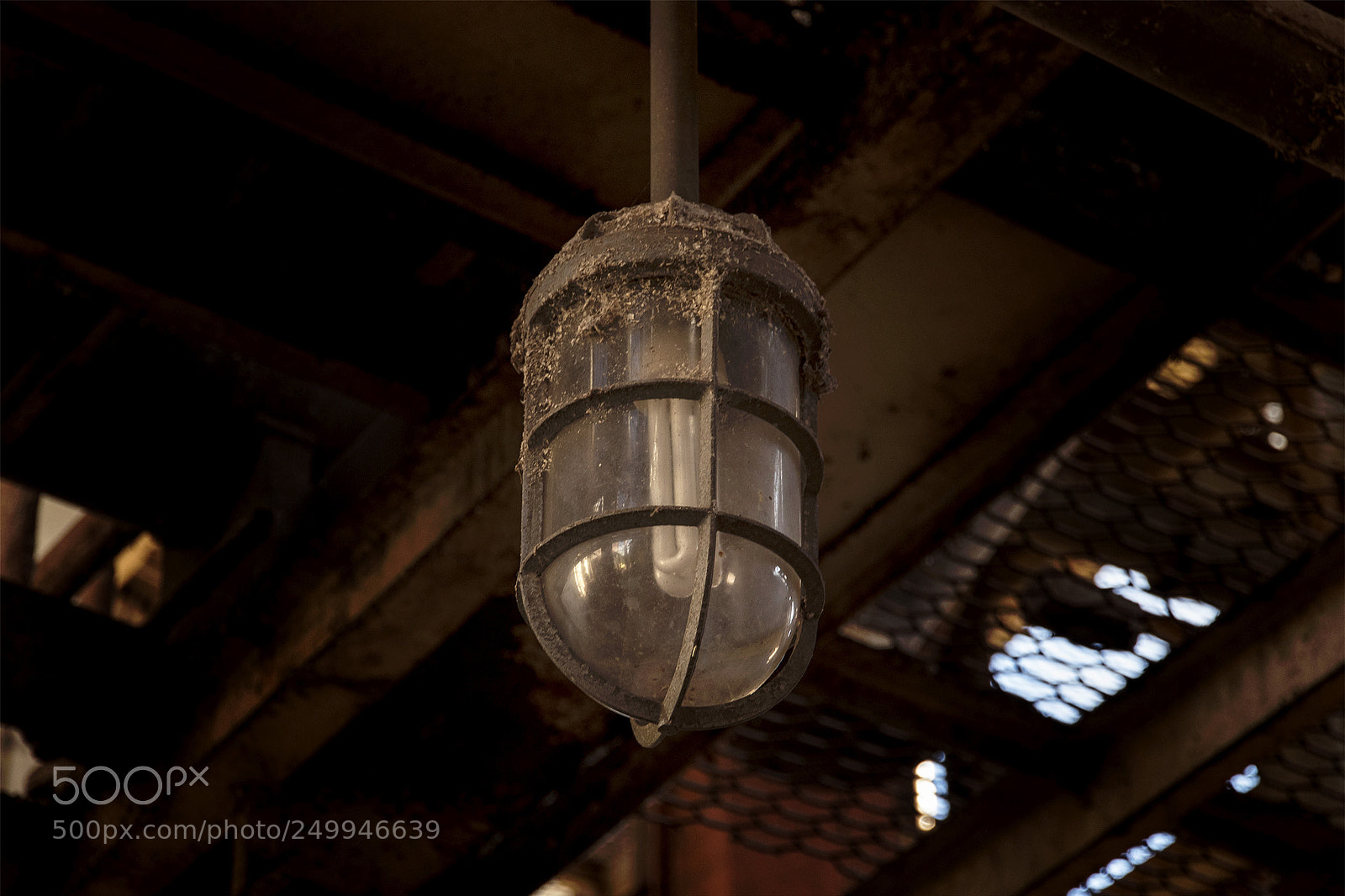 Canon EOS 80D sample photo. Light photography