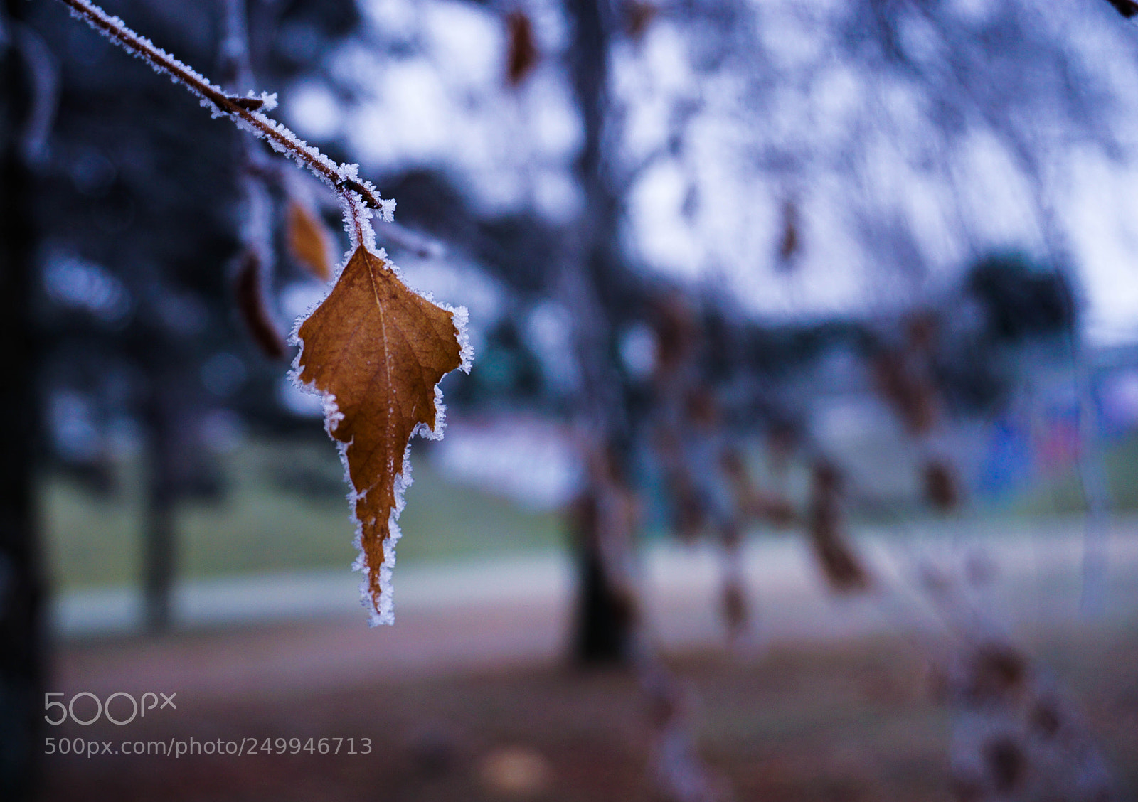 Sony a6000 sample photo. Untitled photography