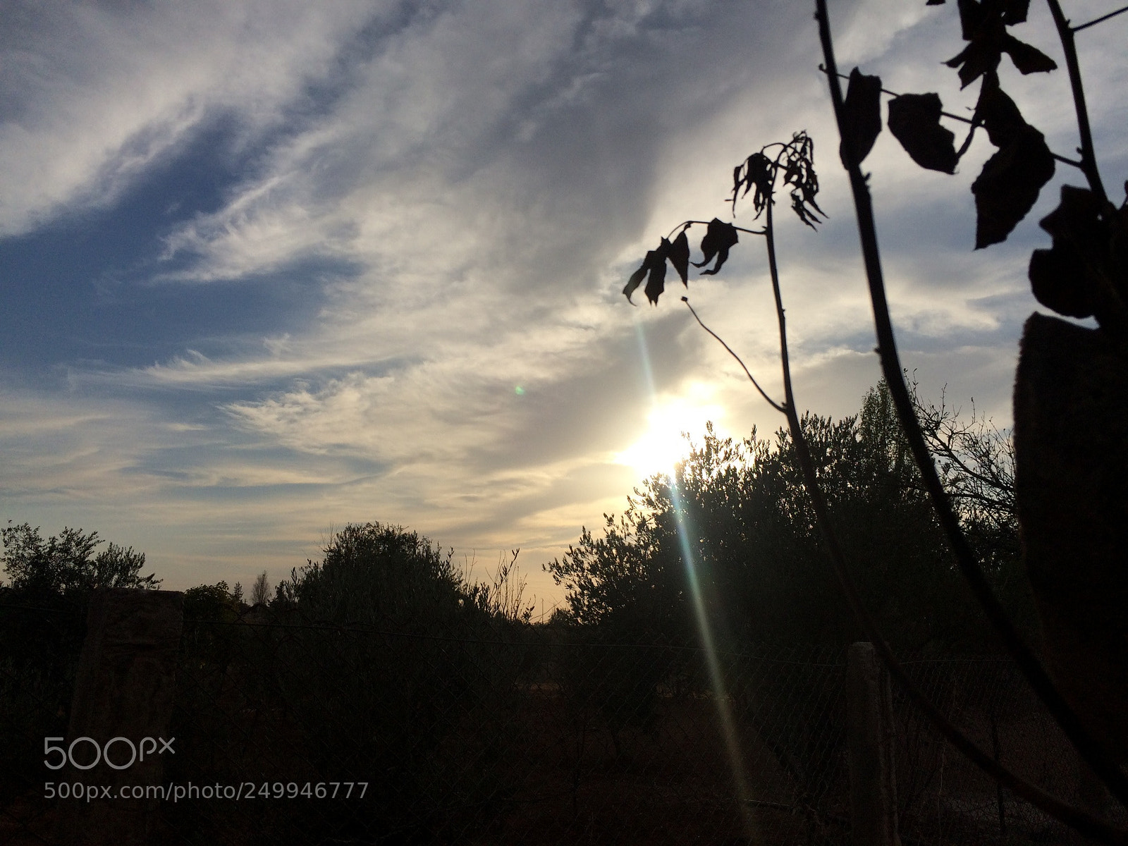 Apple iPhone 5s sample photo. Untitled photography