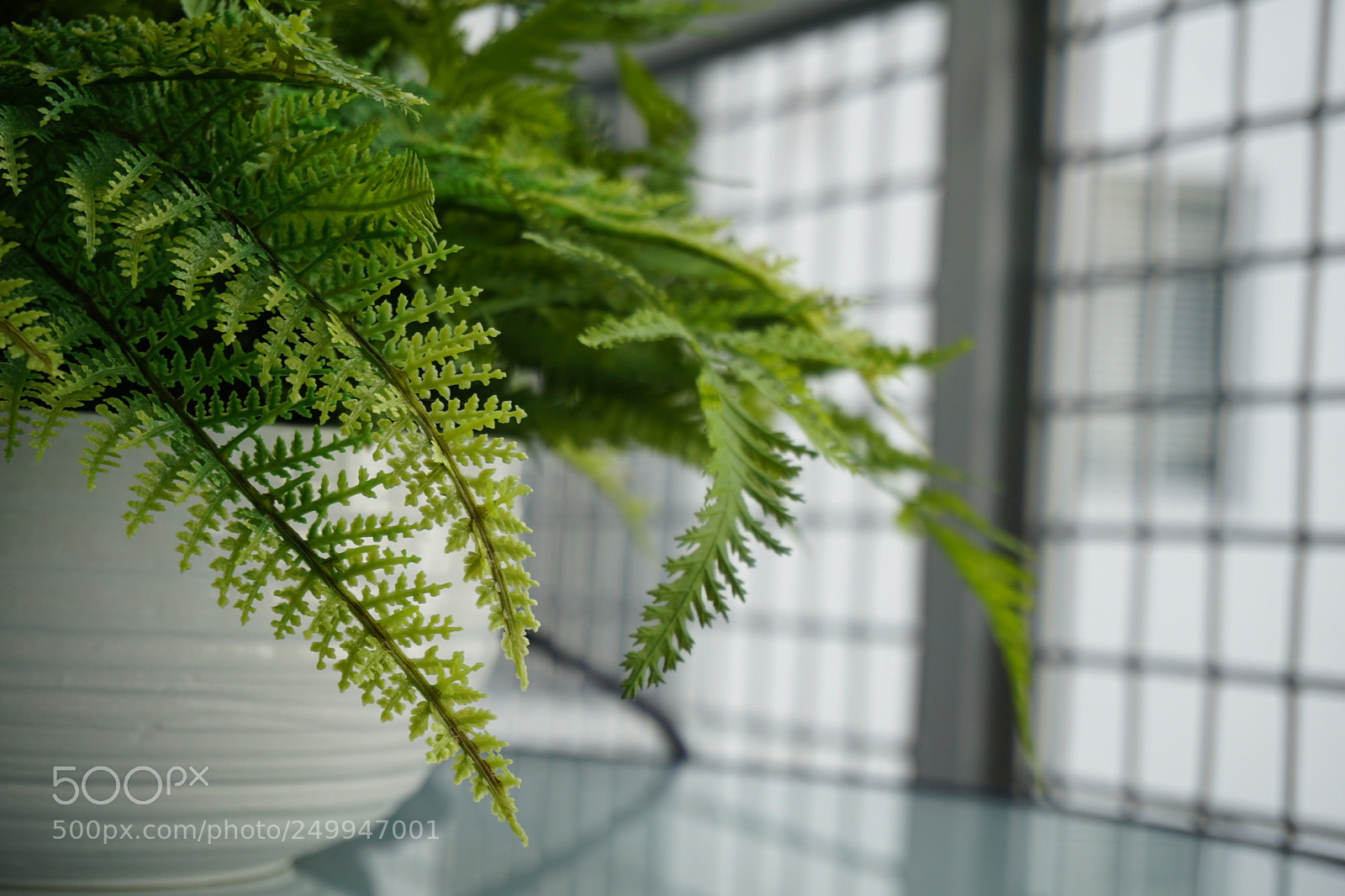 Sony a6000 sample photo. ???? photography