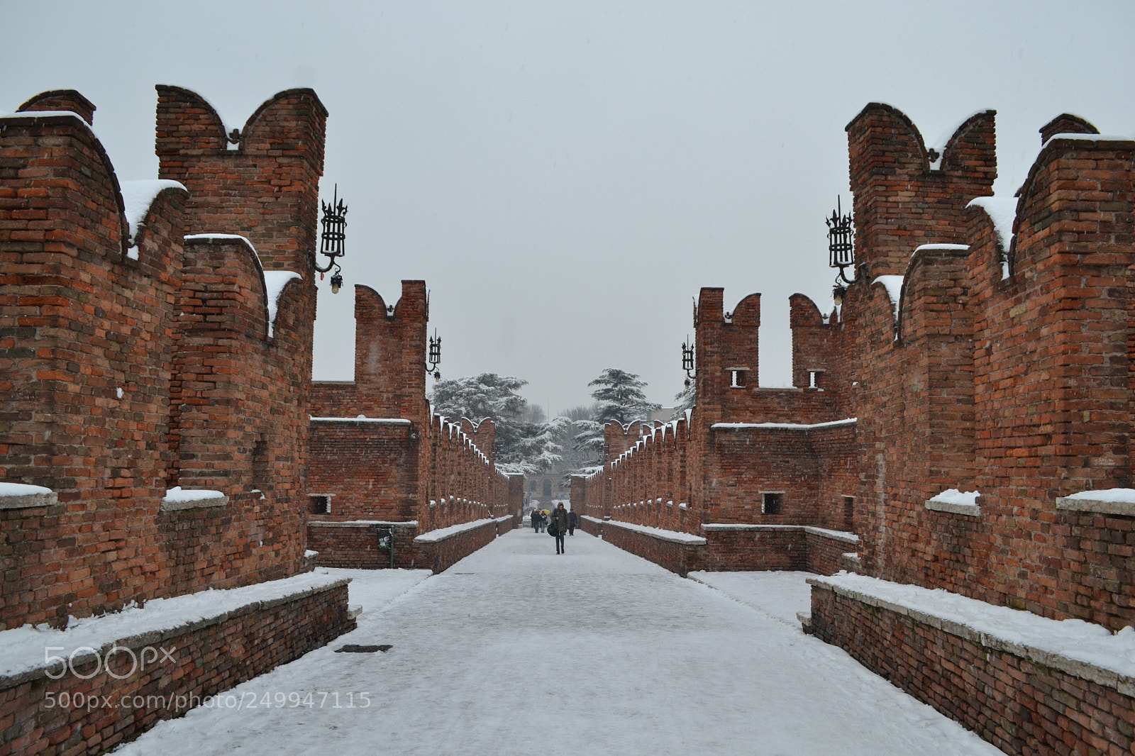 Nikon D3100 sample photo. Verona photography