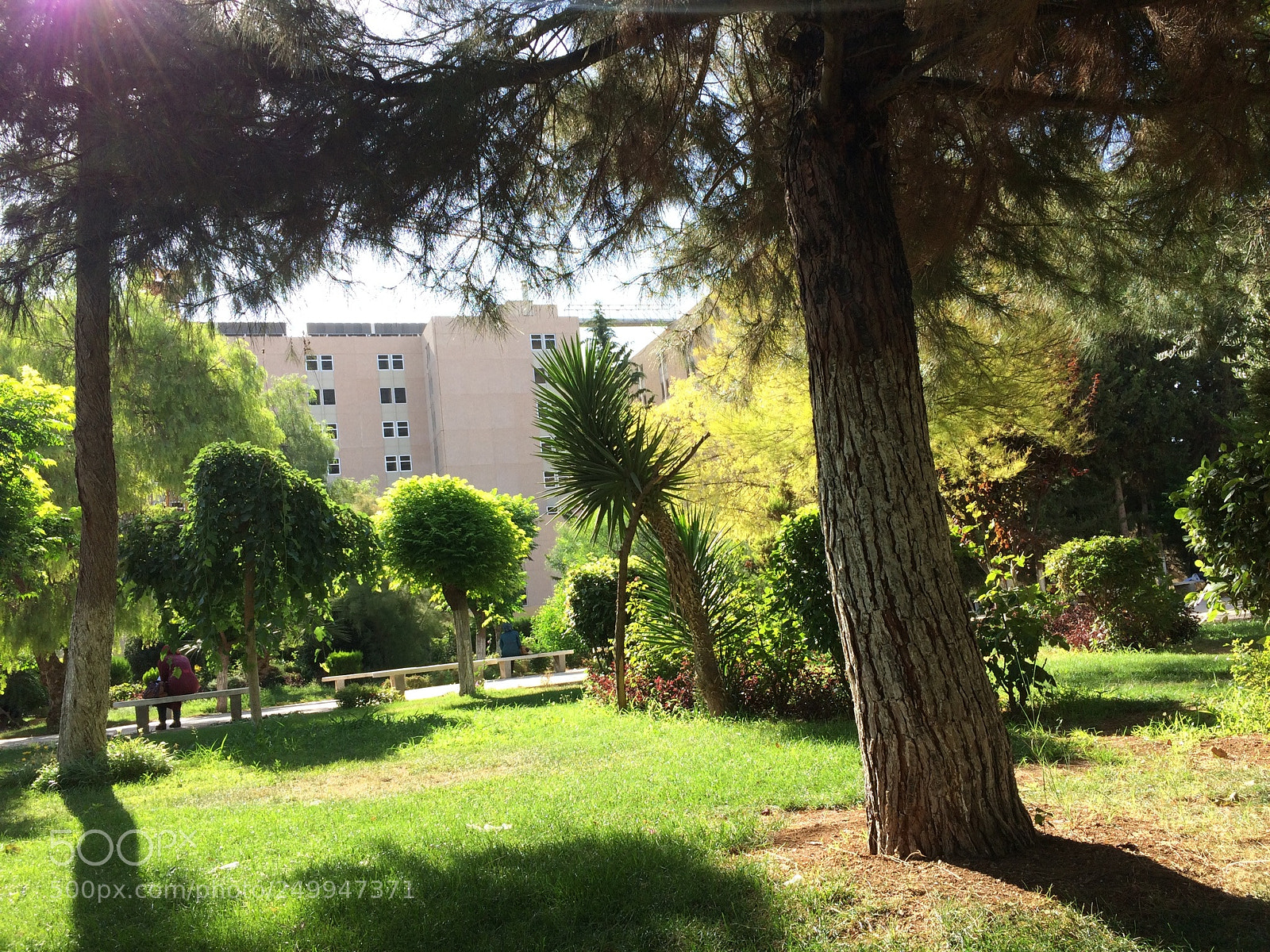Apple iPhone 5s sample photo. Untitled photography