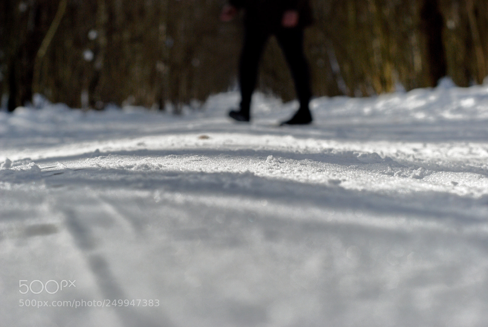 Nikon D80 sample photo. Stroll photography