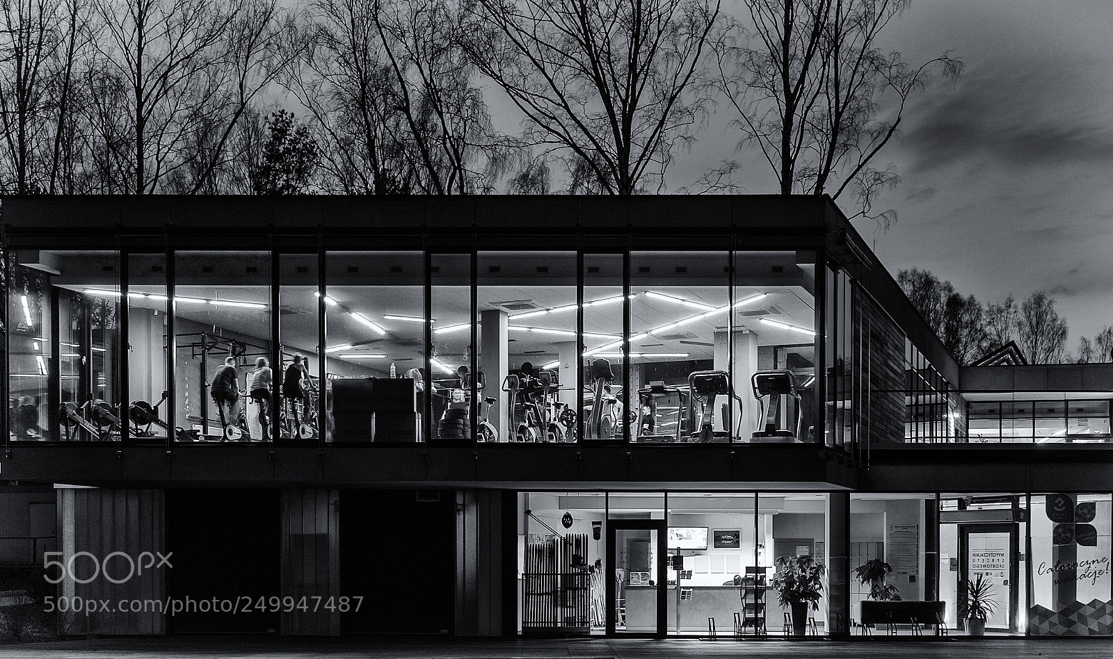 Sony a7 II sample photo. The gym photography