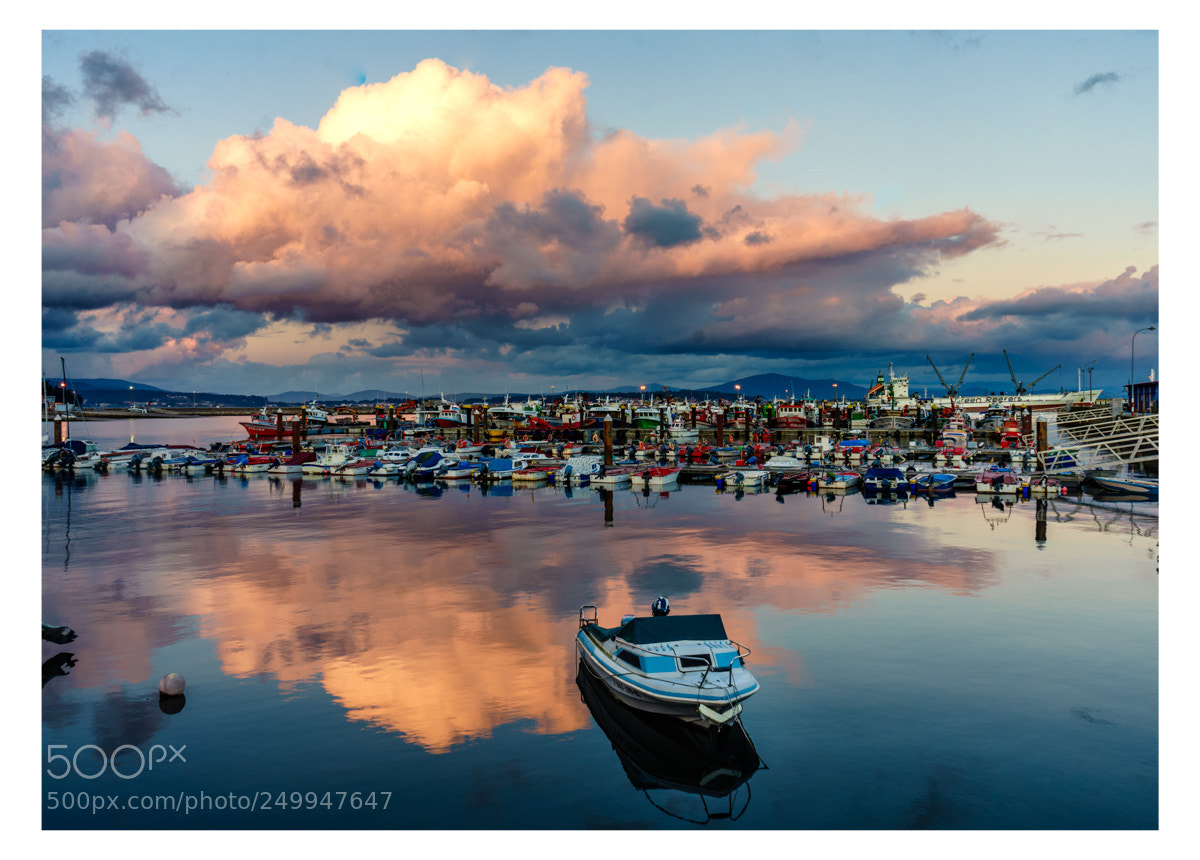 Sony a7 II sample photo. Explosion de color photography