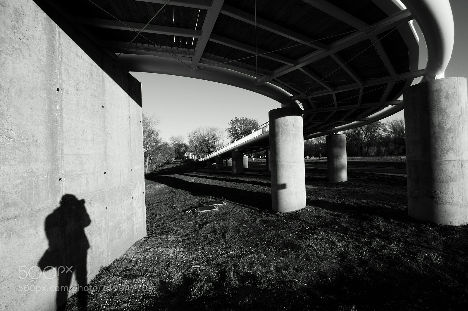 Sony SLT-A58 sample photo. The photographer. photography