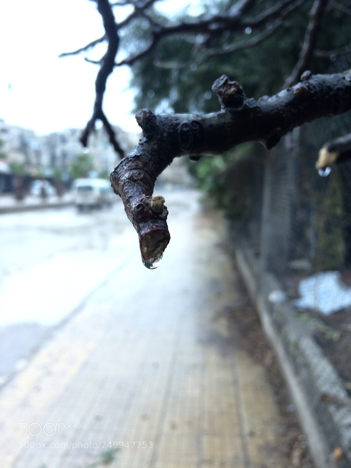 Apple iPhone 5s sample photo. Untitled photography