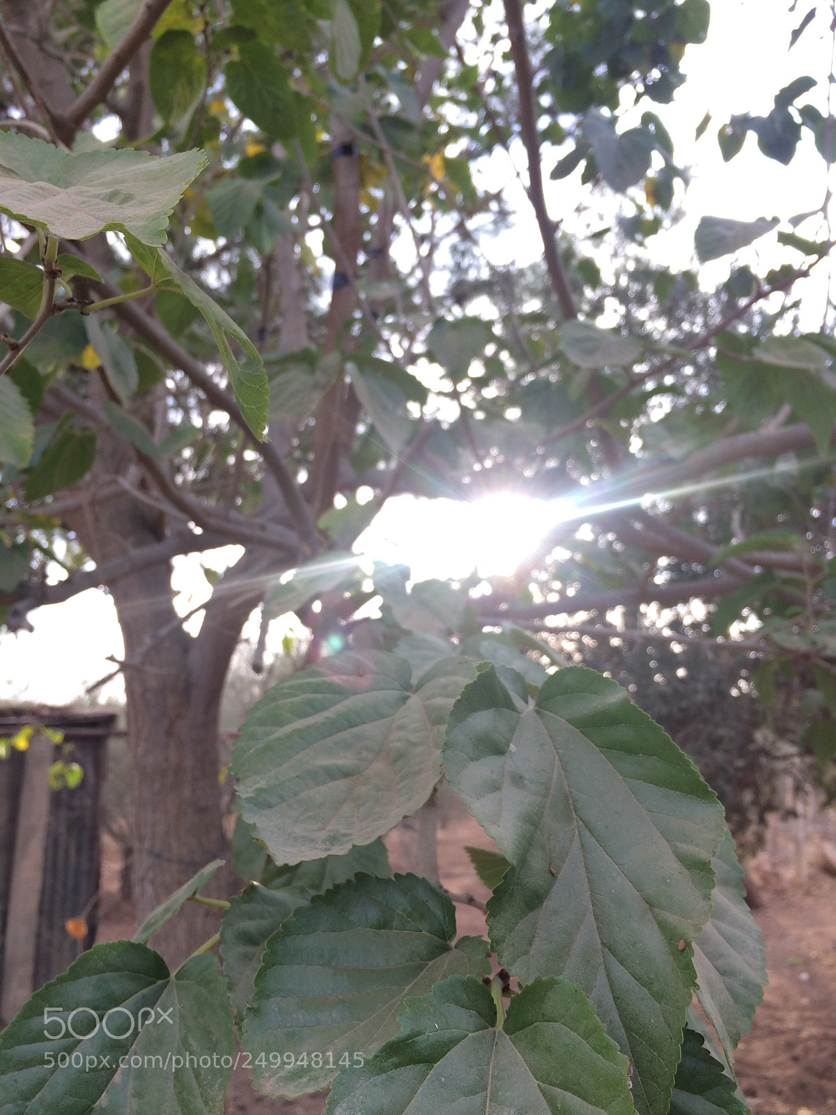 Apple iPhone 5s sample photo. Untitled photography