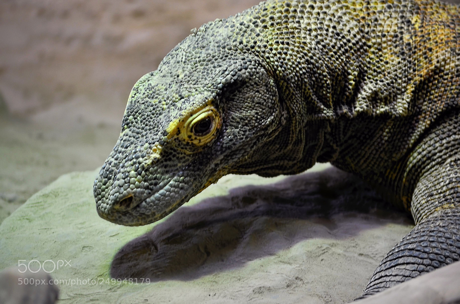 Nikon D7000 sample photo. Komodo photography