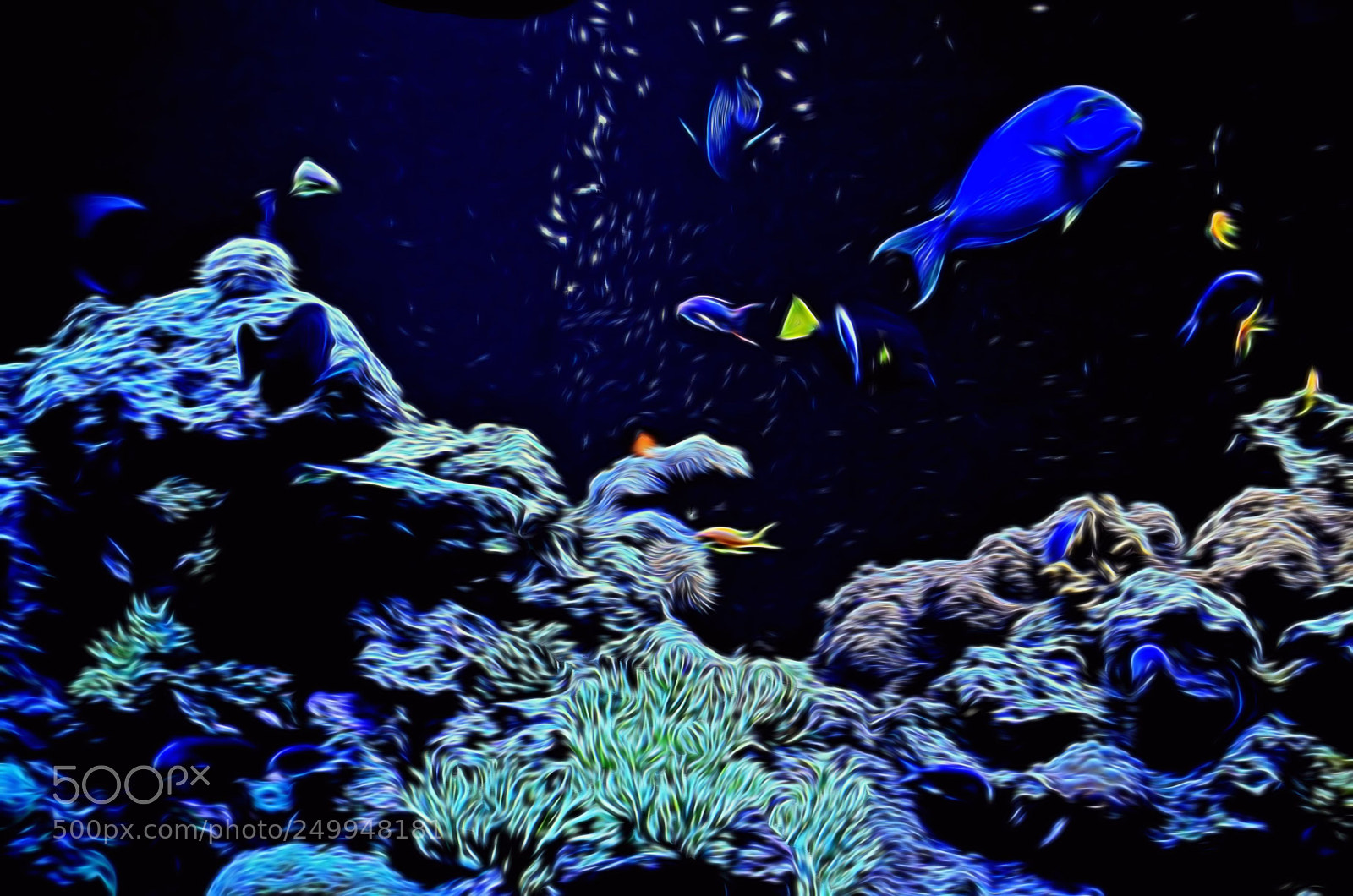 Nikon D7000 sample photo. The deep photography