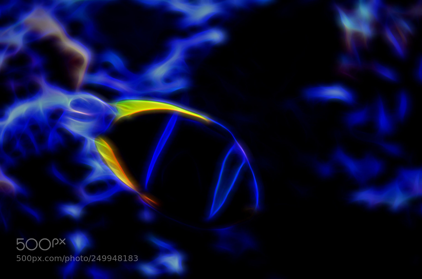 Nikon D7000 sample photo. Electric blue photography