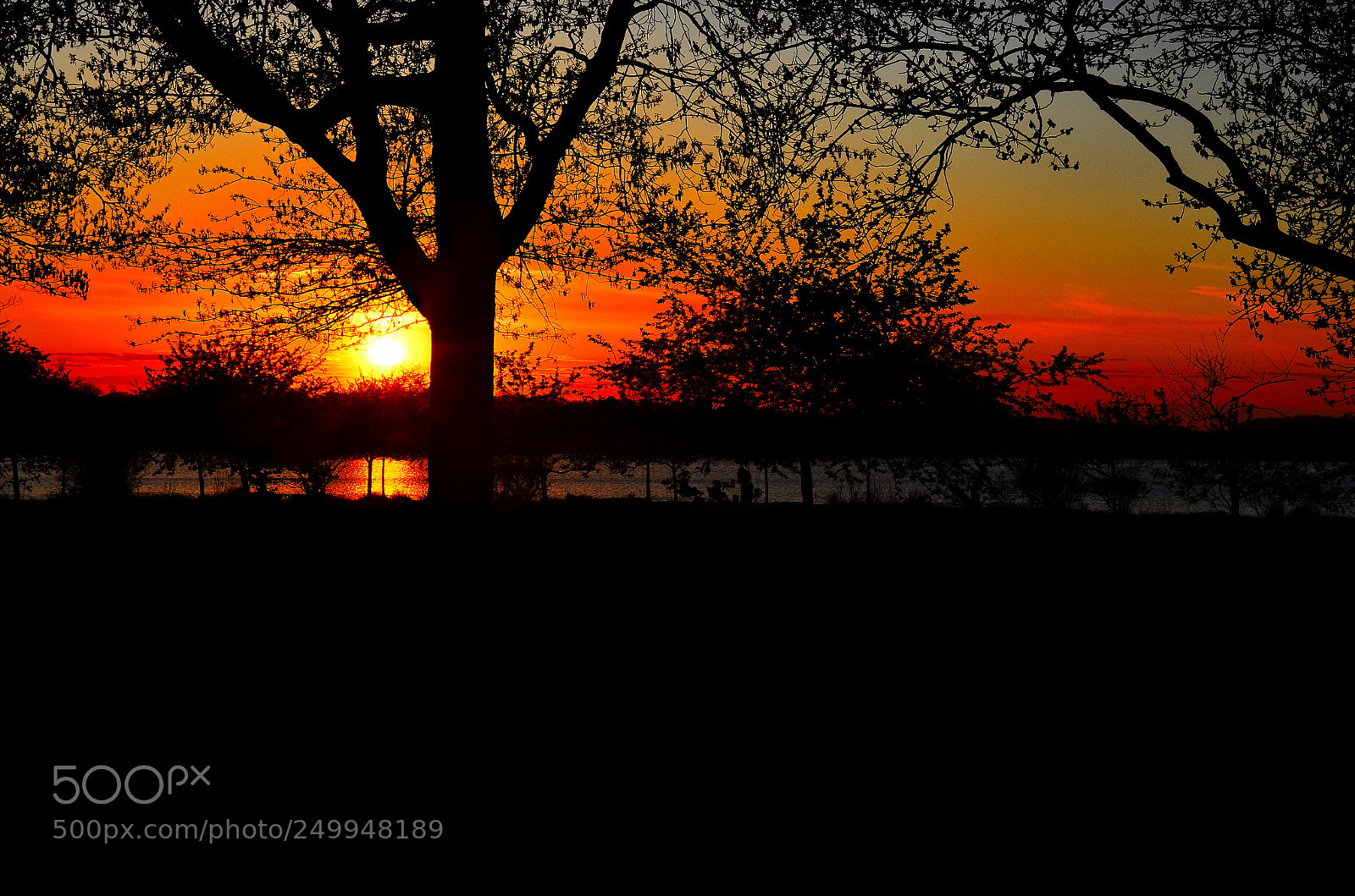 Nikon D7000 sample photo. Dusk photography