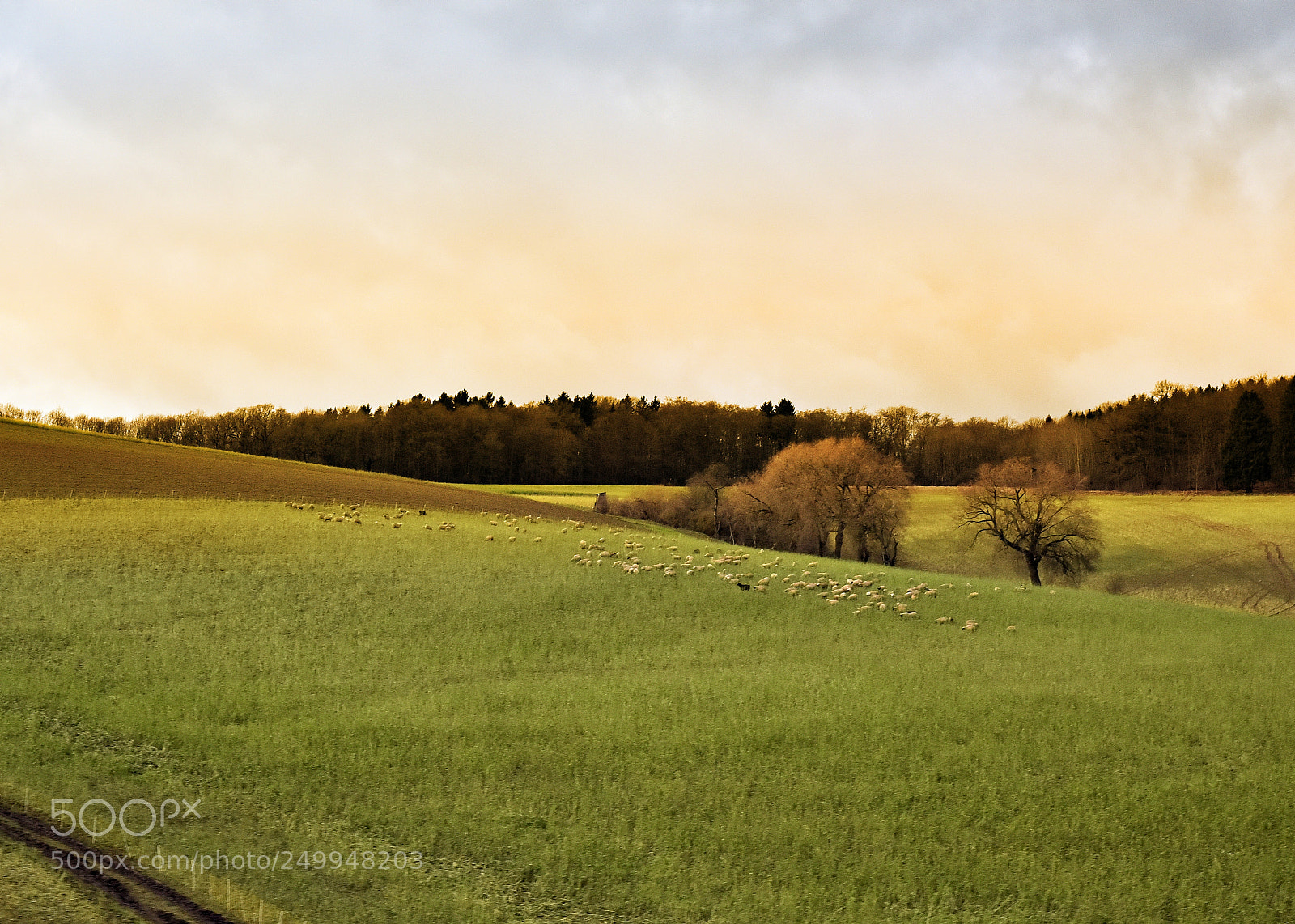 Nikon D810 sample photo. Farmers field photography