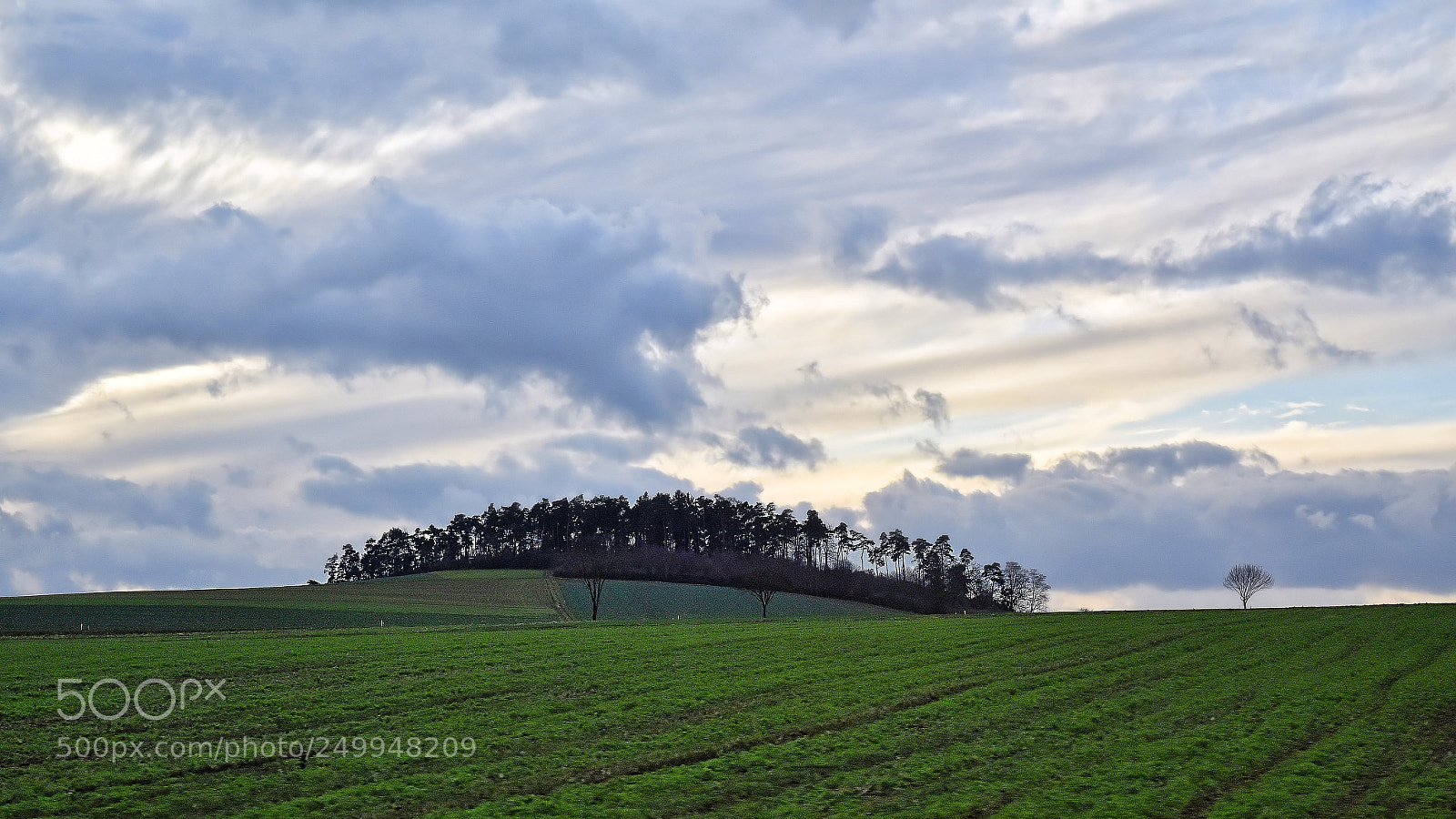 Nikon D810 sample photo. Open field photography