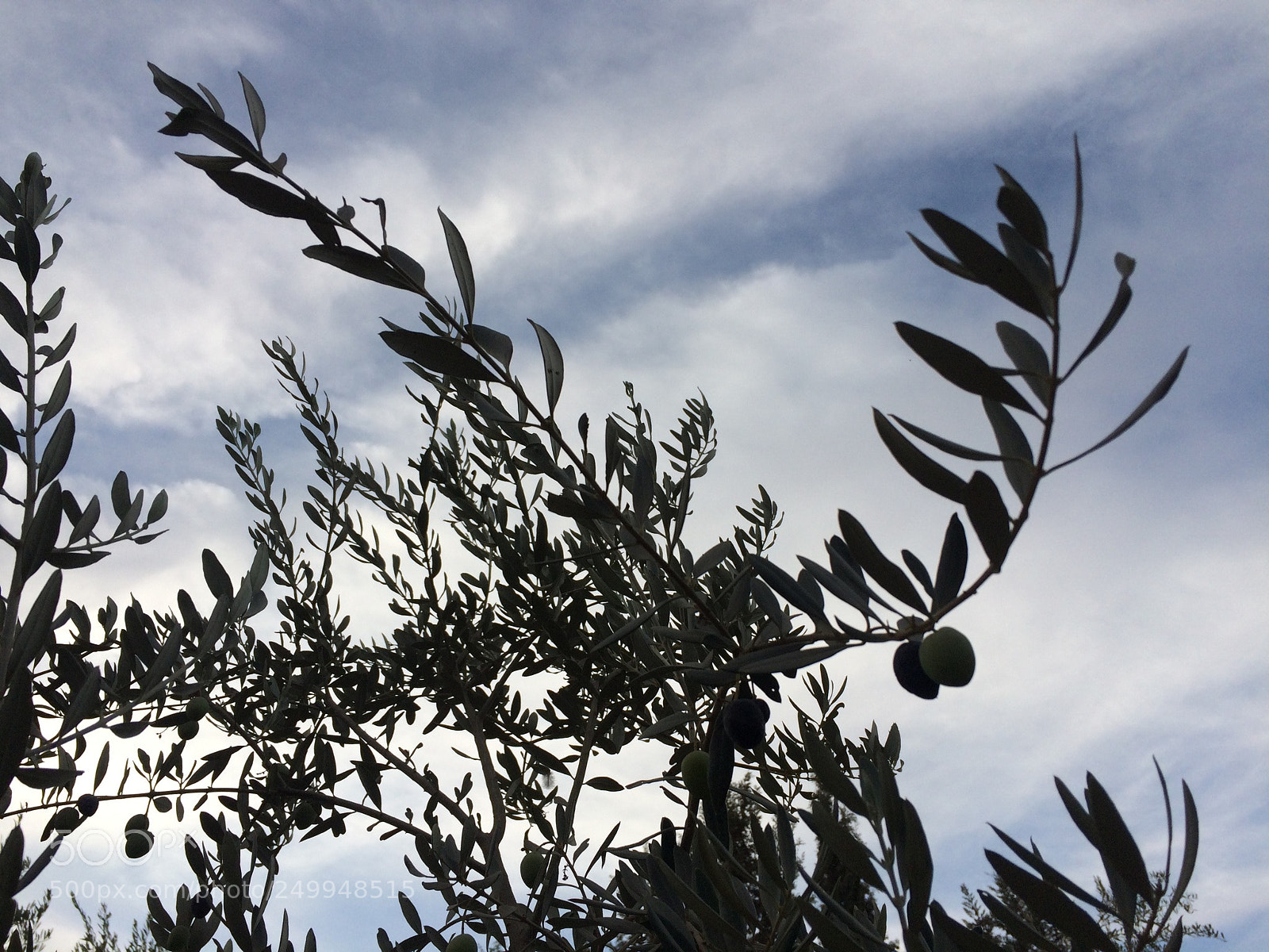 Apple iPhone 5s sample photo. Untitled photography