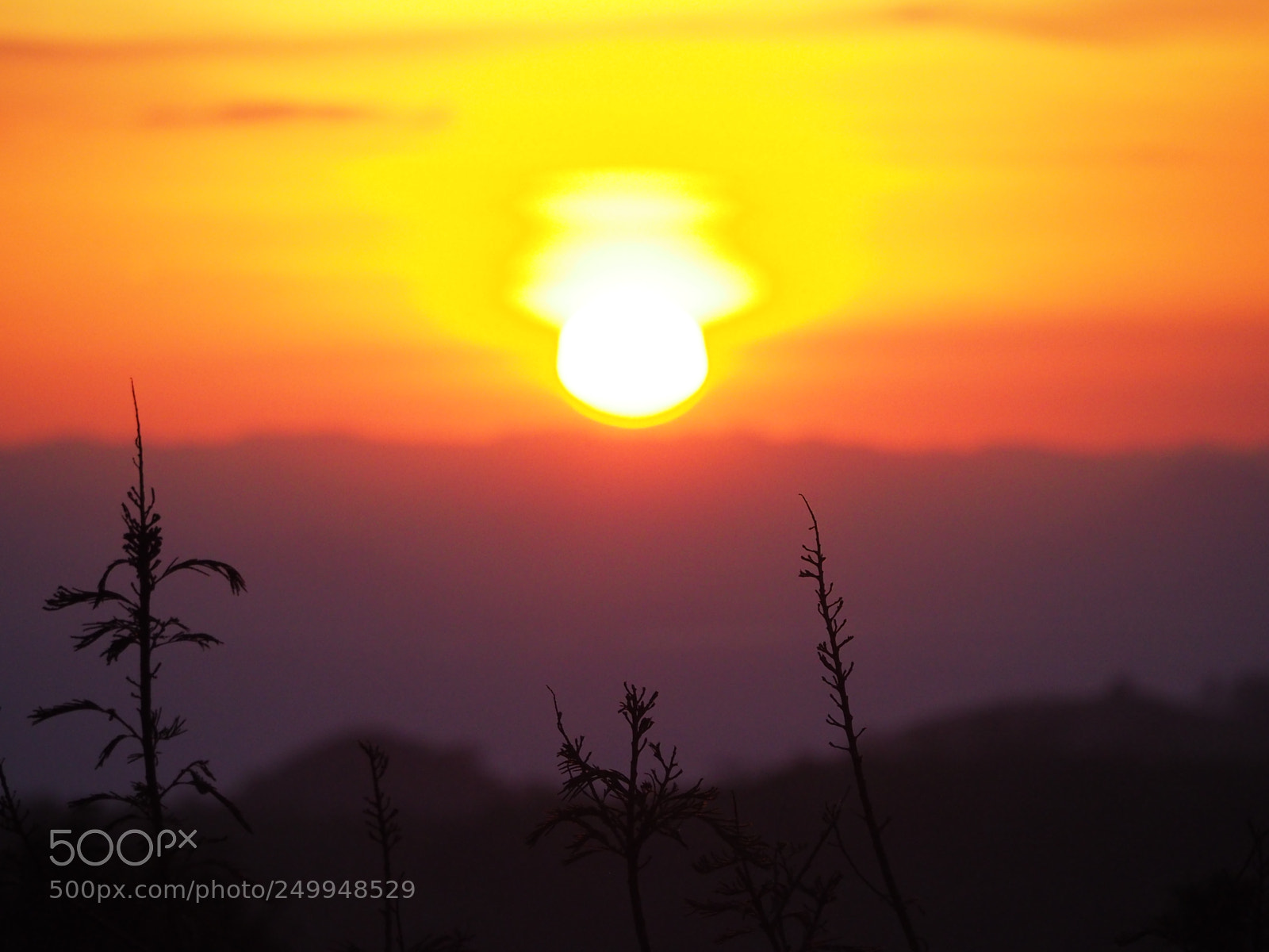 Olympus OM-D E-M10 II sample photo. Monteverde sunset photography