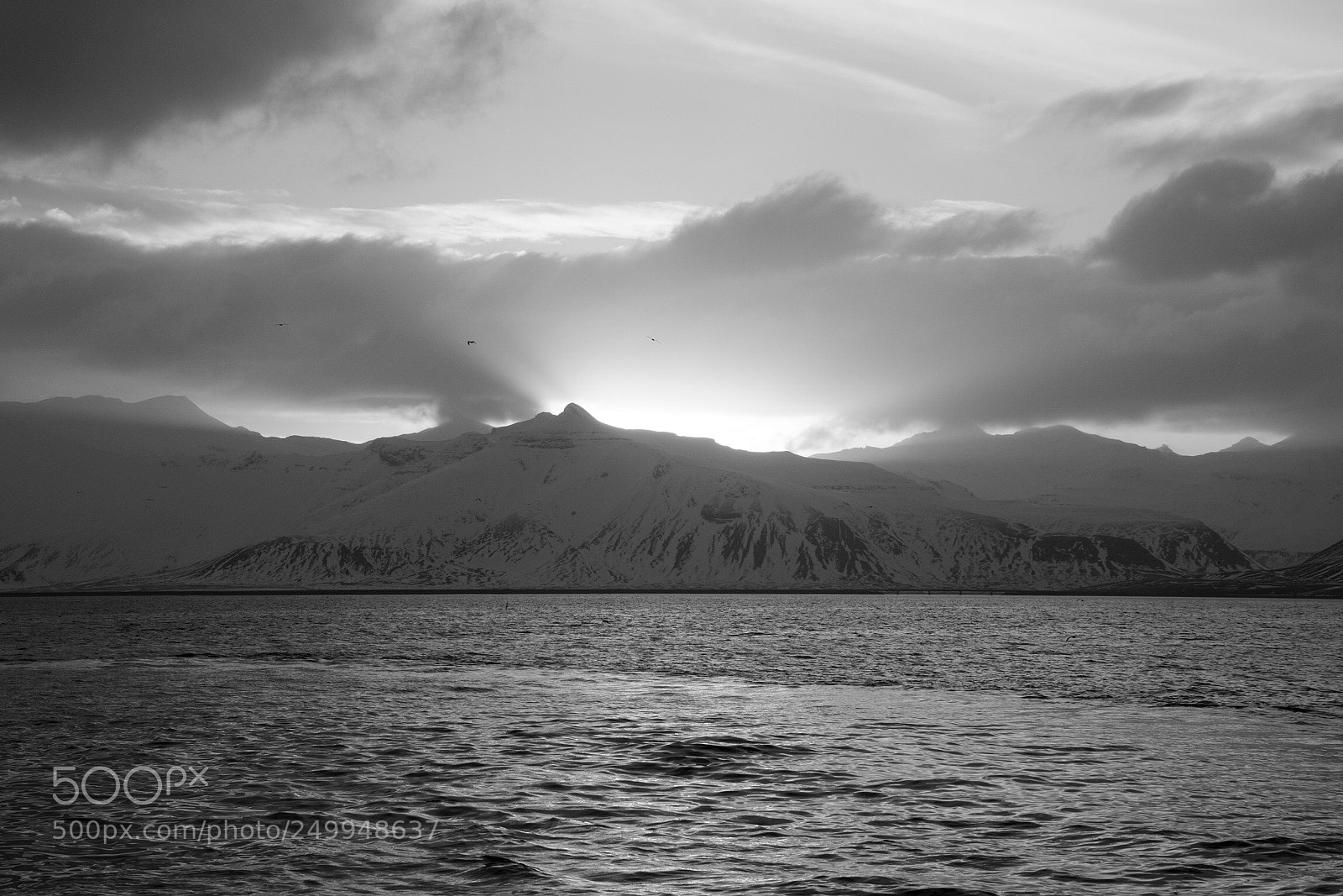 Nikon D800 sample photo. Iceland  photography