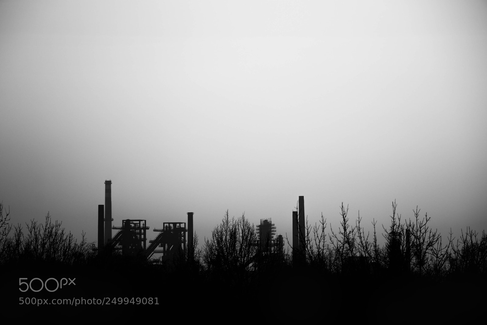 Canon EOS 80D sample photo. Untitled photography