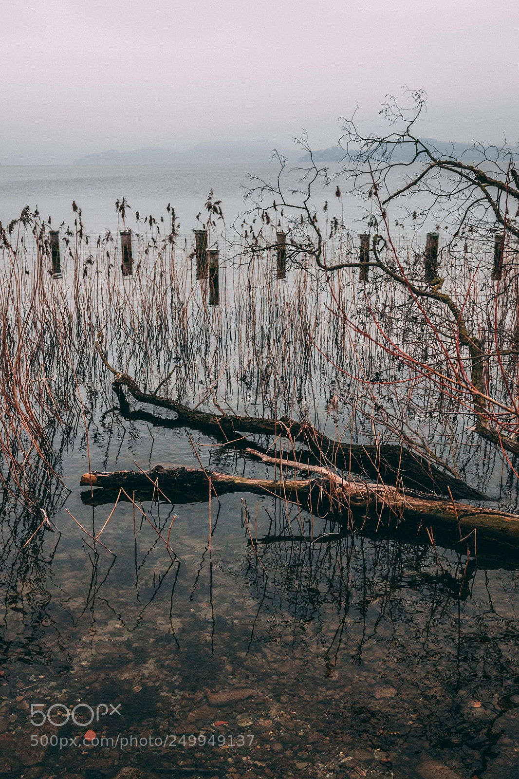 Canon EOS 7D Mark II sample photo. Lakeside photography