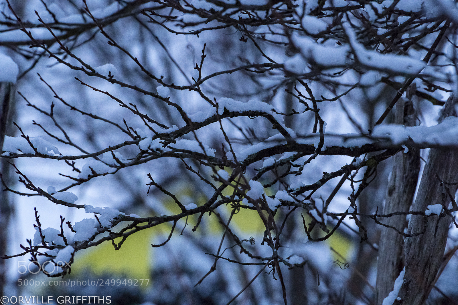 Sony a6500 sample photo. **snowed**in photography