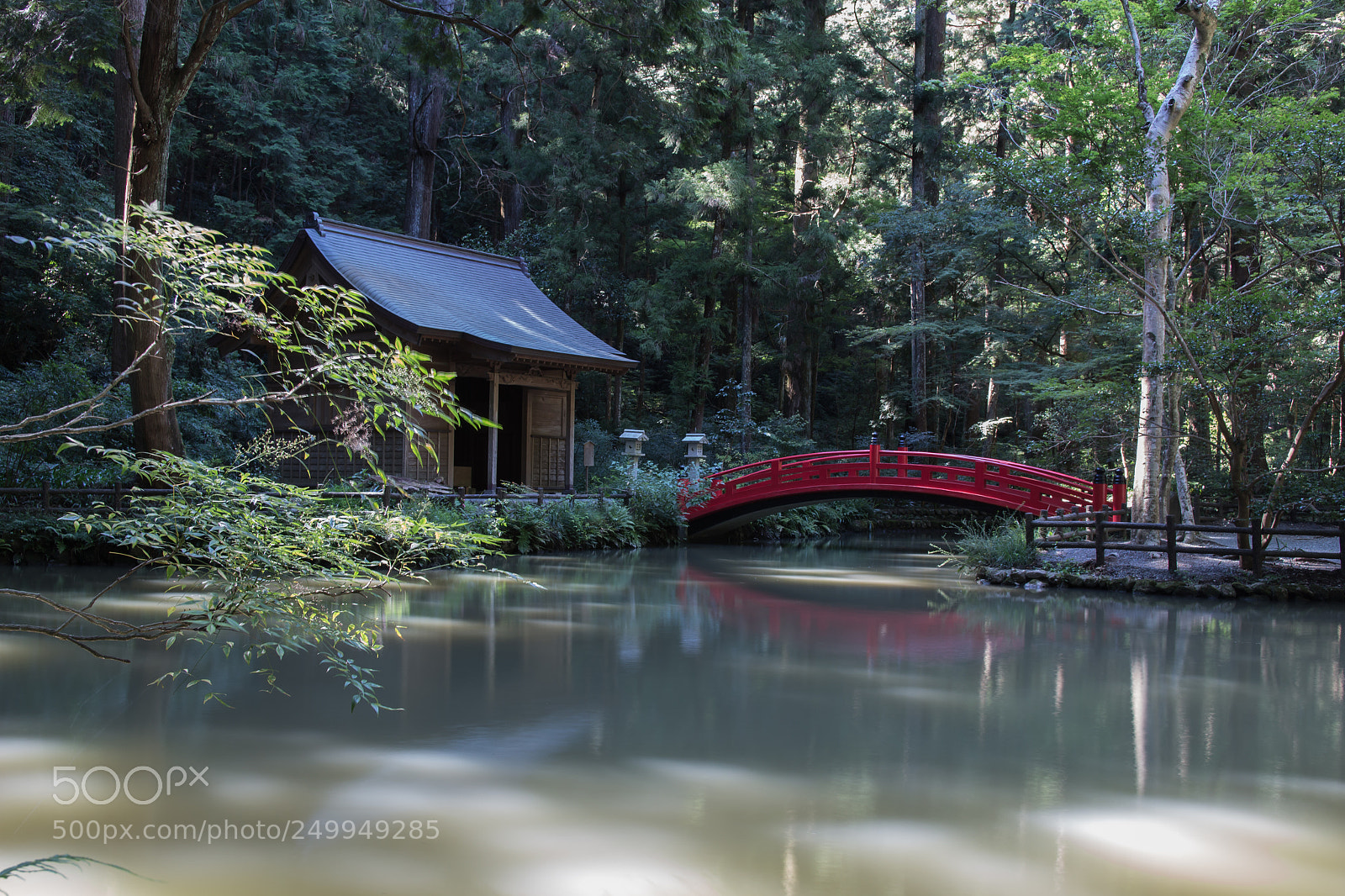Canon EOS 700D (EOS Rebel T5i / EOS Kiss X7i) sample photo. A sanctuary for nature photography