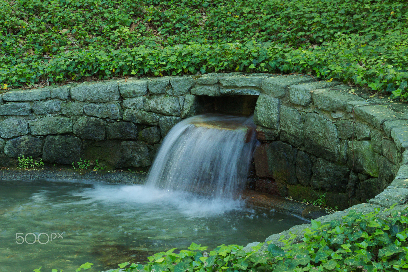 Sigma 18-250mm F3.5-6.3 DC OS HSM sample photo. Img photography