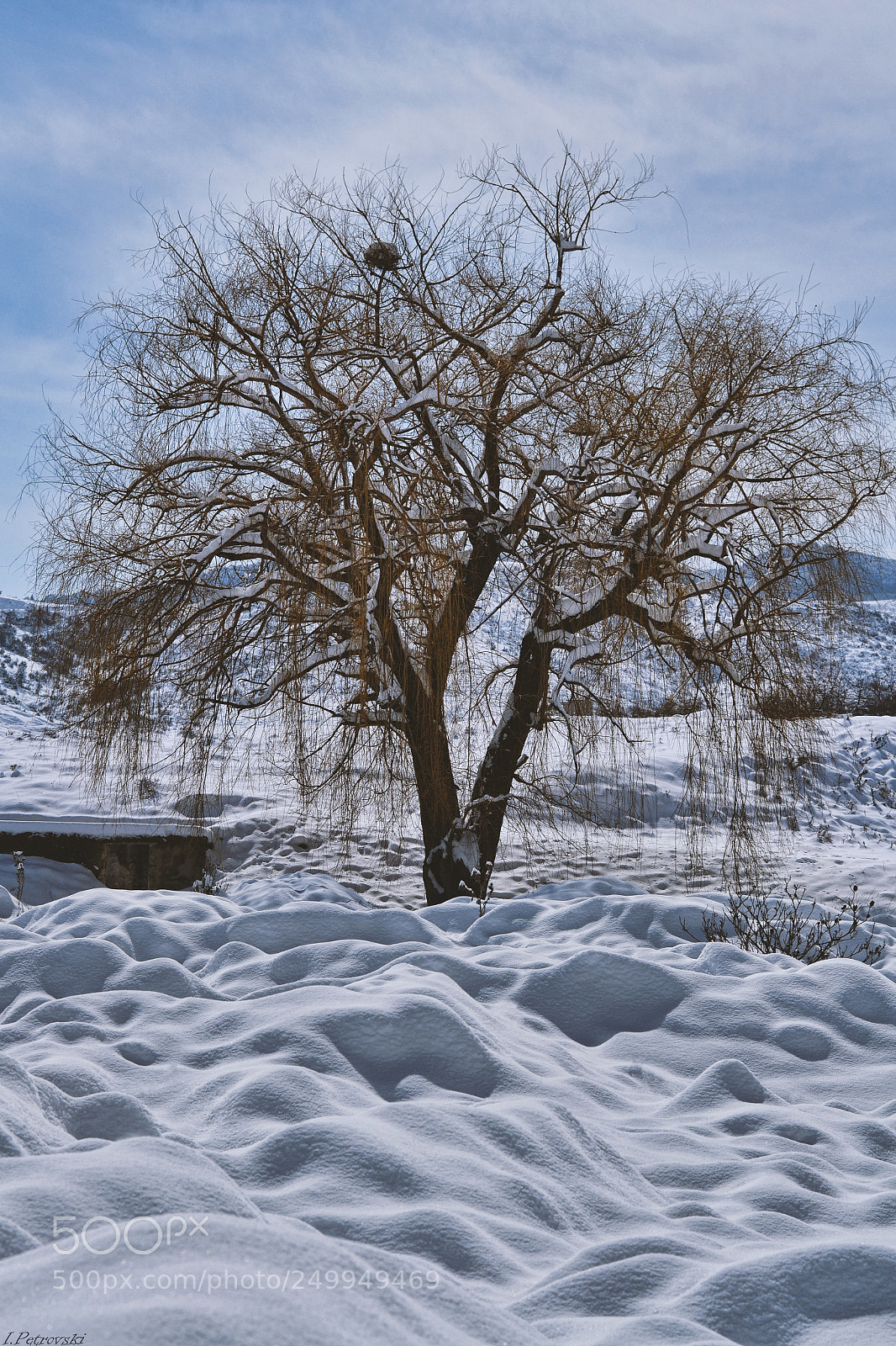 Nikon D3100 sample photo. Winter land photography